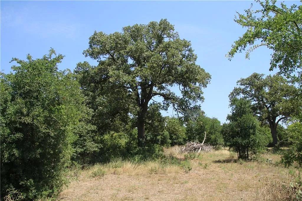 Mature trees and natural grasses create a serene,