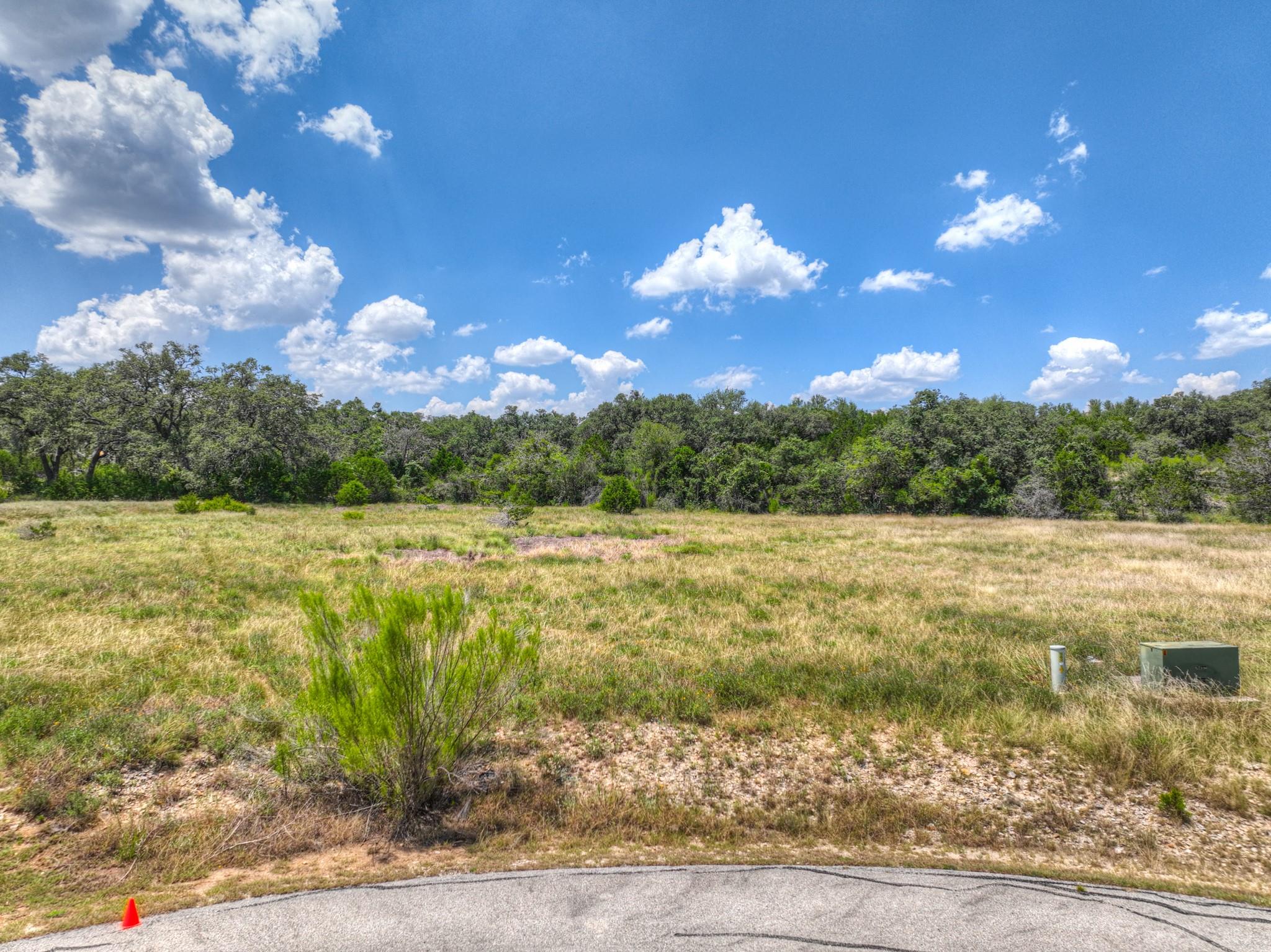 A spacious, buildable lot awaits with ample green