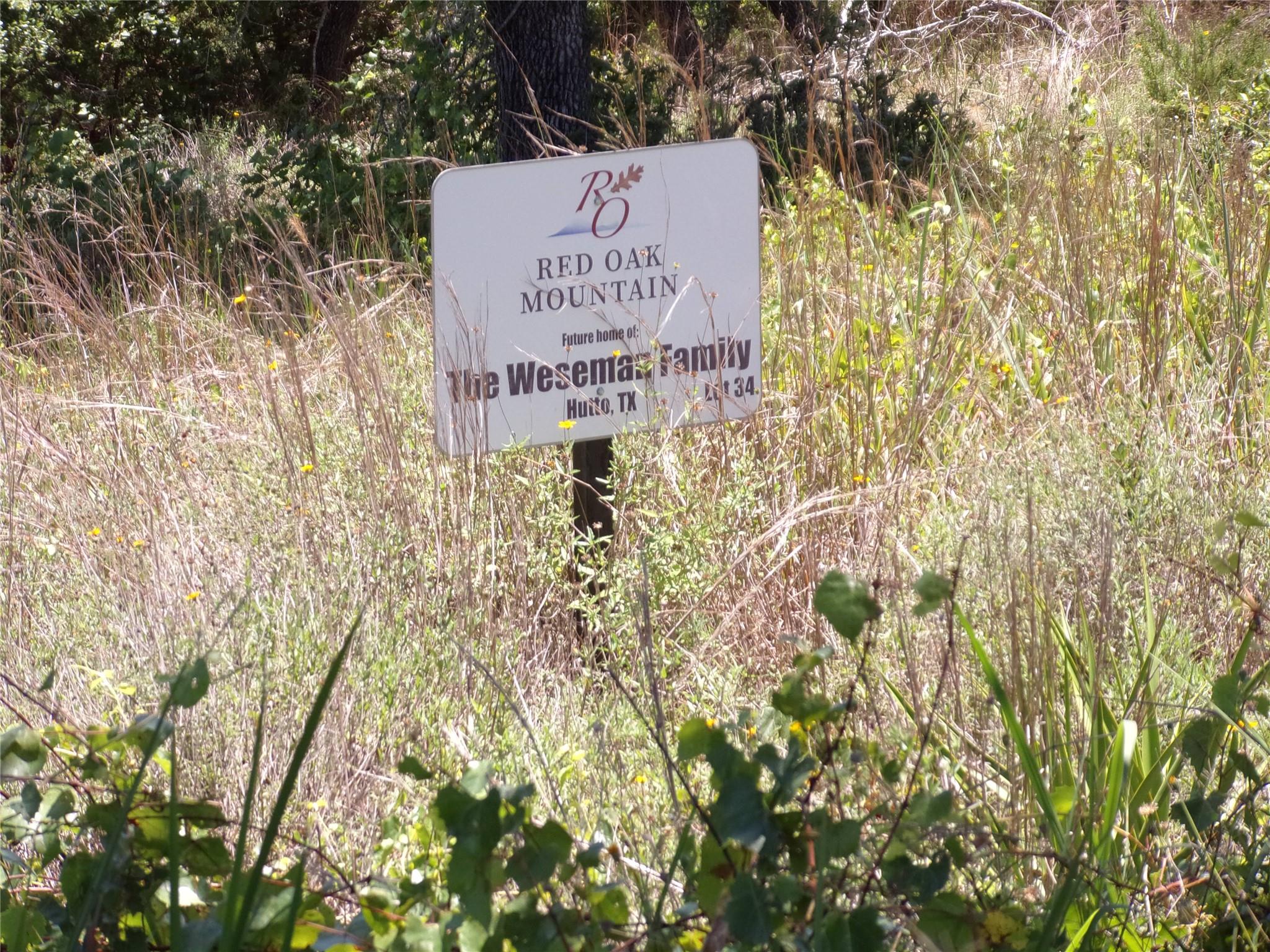 A promising future awaits on this tranquil, tree-