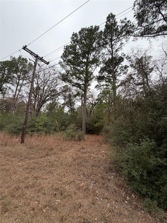 Mature trees and natural growth define this spaci