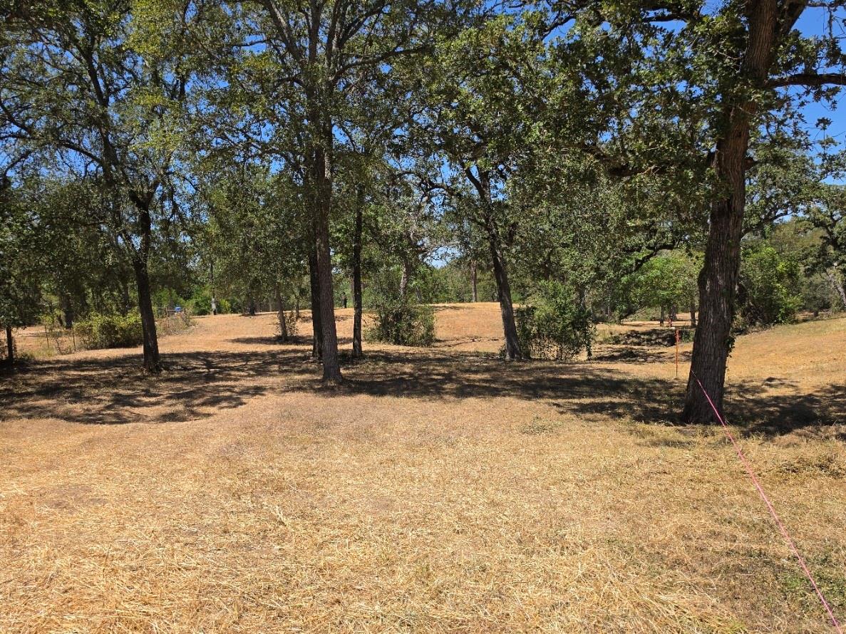 Listing photo 1 of 183  Wilbarger Cv