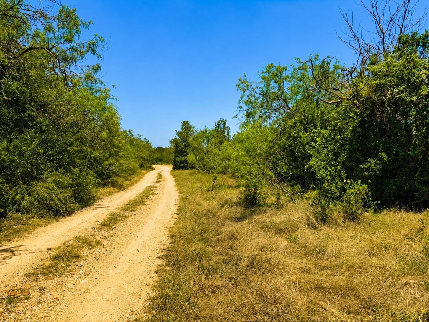 A winding dirt path leads through verdant brush u