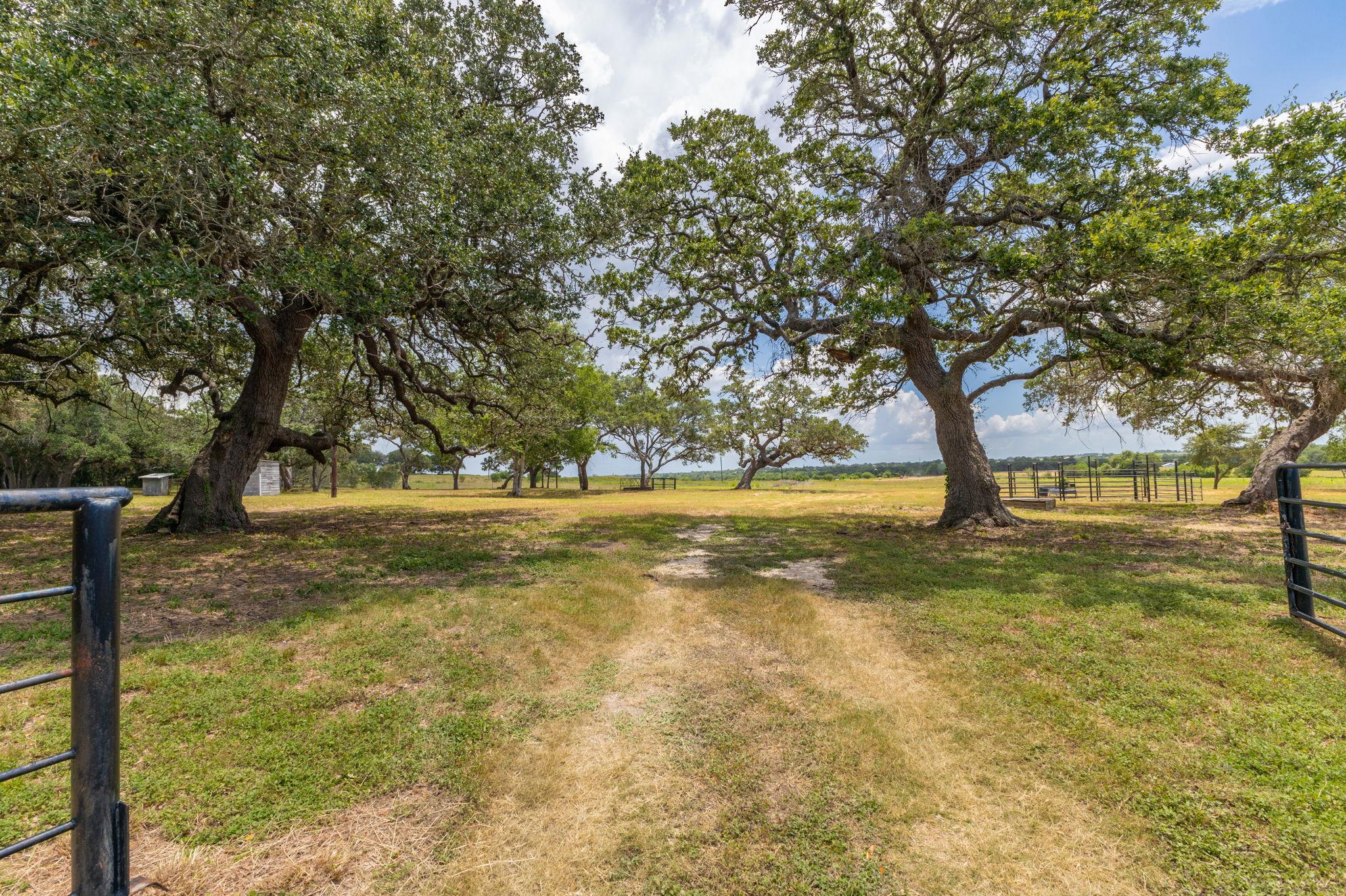 Listing photo 1 of 2160 (Tract #5)  Baca Loop