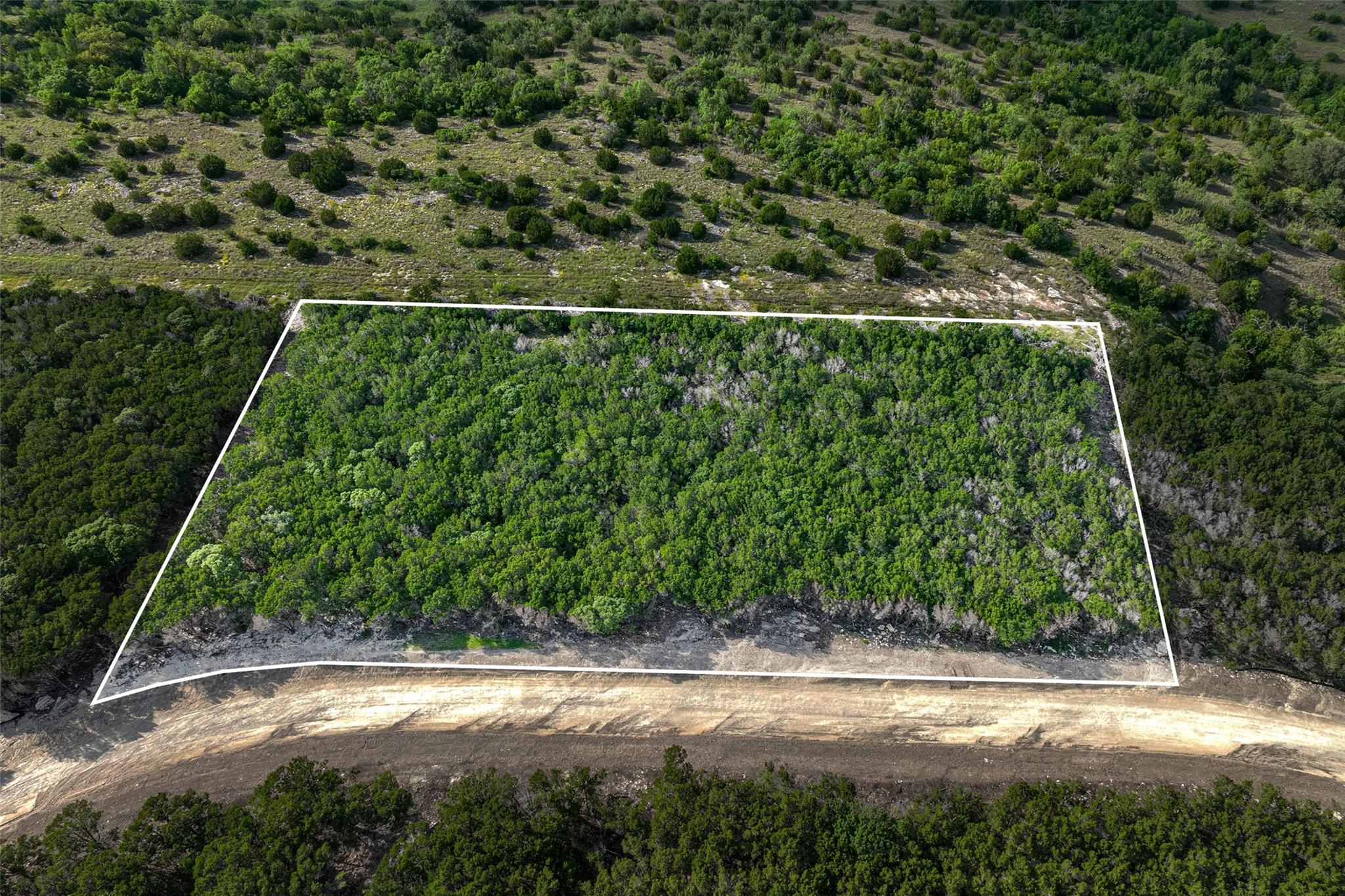 A verdant parcel of land awaits your vision, bord
