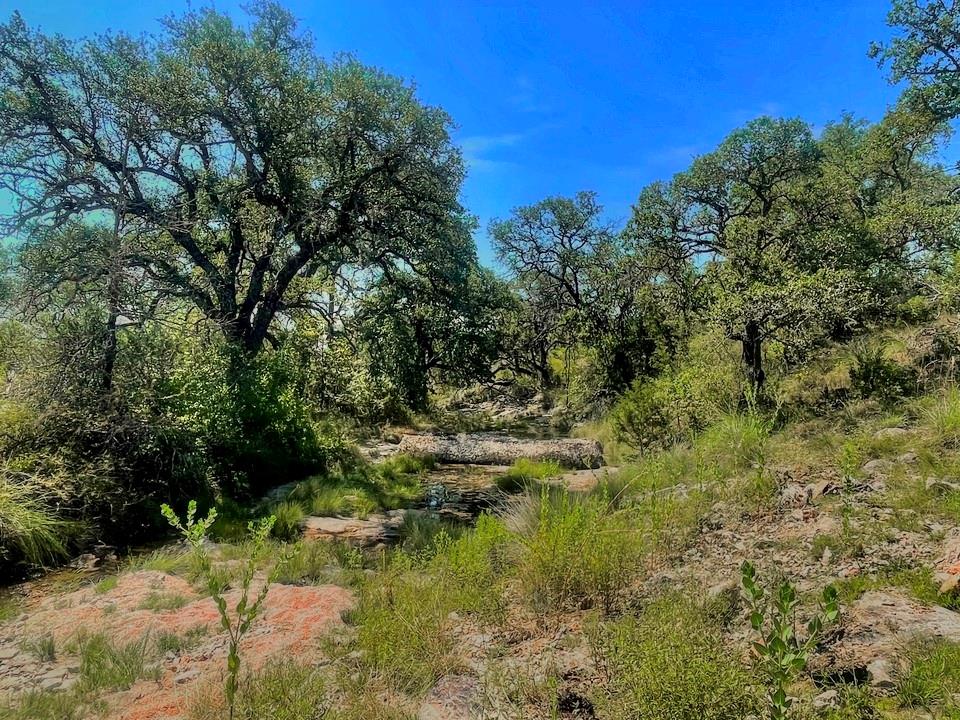 Listing photo 1 of Lot 8  Legacy Ridge None