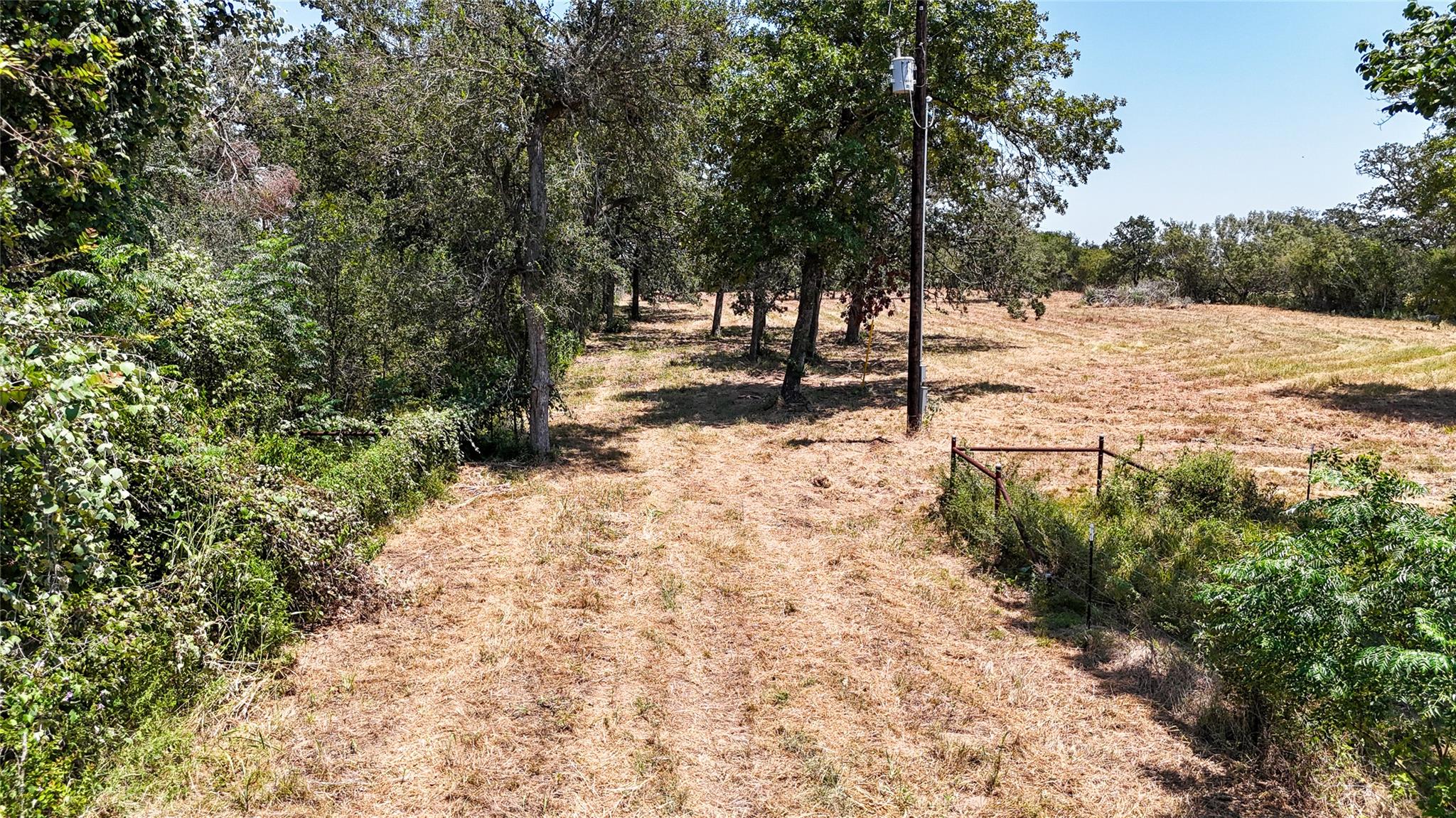 Mature trees line the perimeter of this expansive