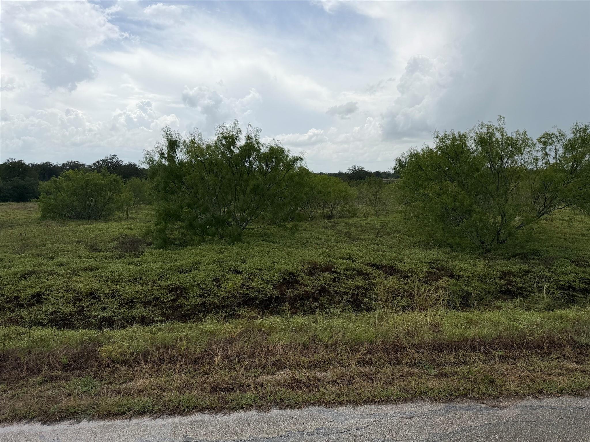 A spacious, verdant lot awaits your future build,