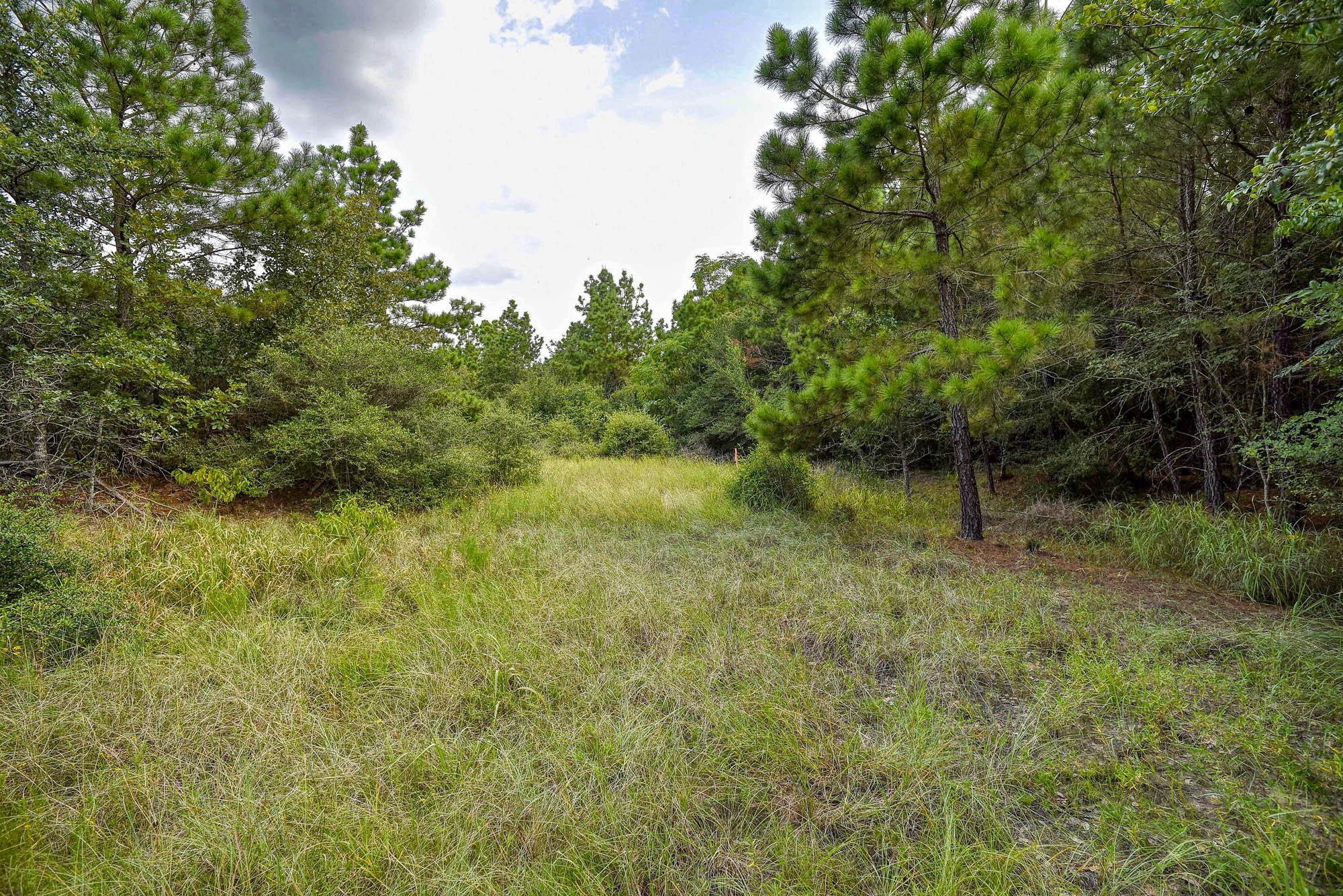 Listing photo 1 of TBD  Kipahulu Dr  #2