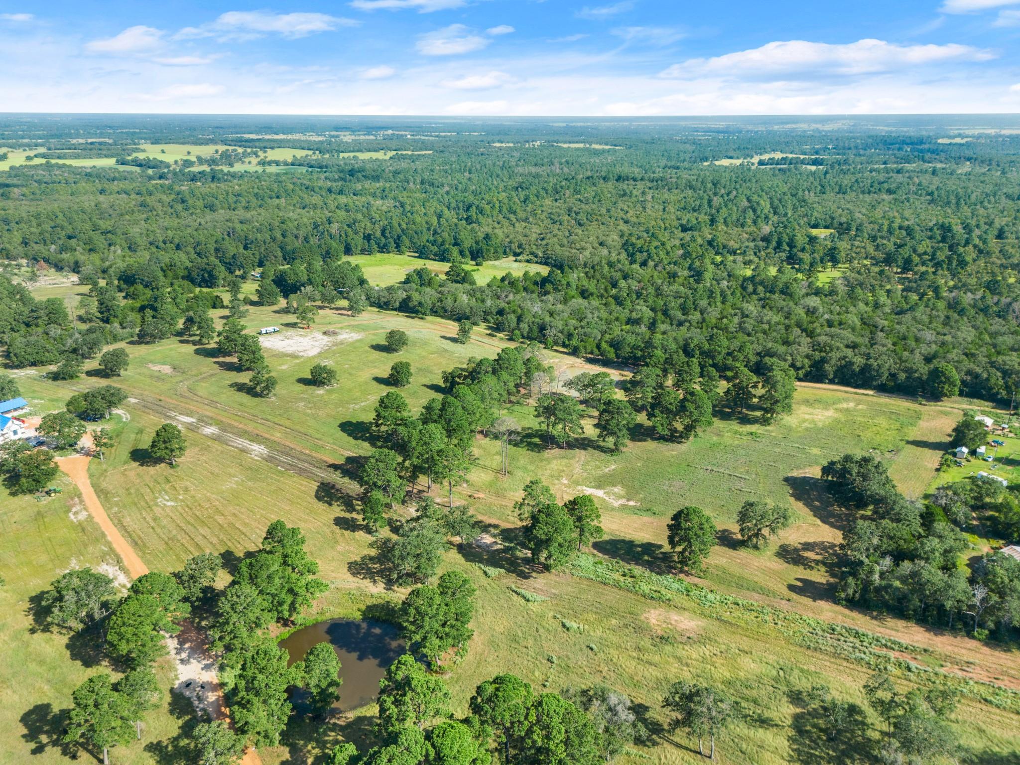 An aerial perspective reveals vast acreage of gre