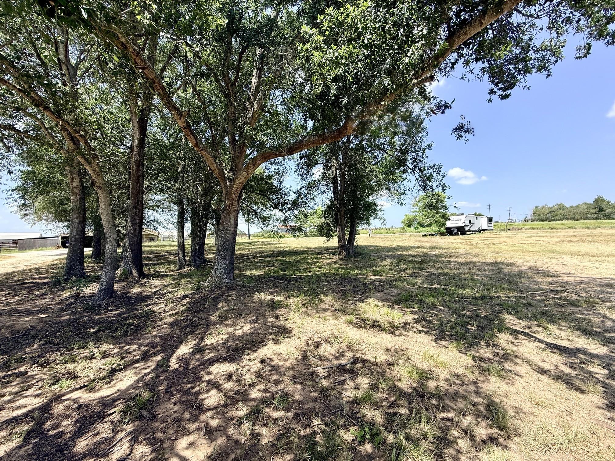 Mature trees cast dappled shade across this spaci