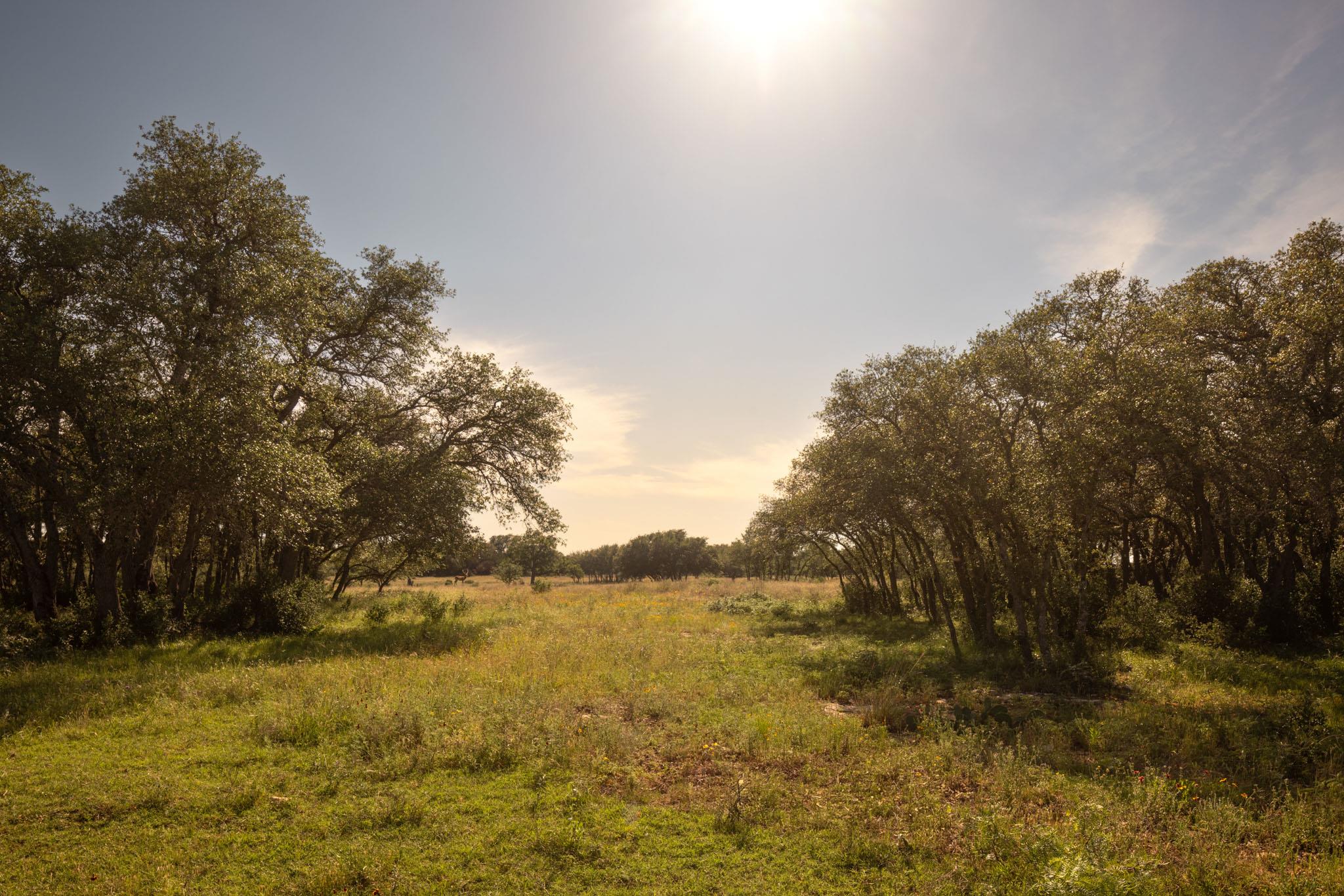 Vast open pastures provide a serene, undeveloped 