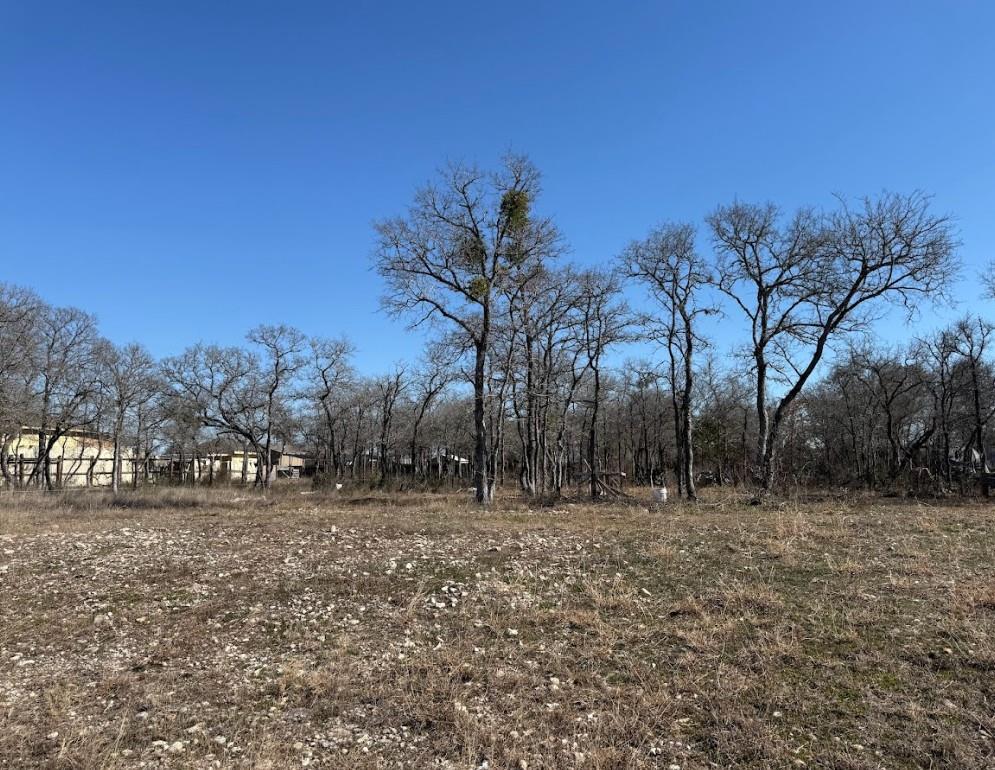 A spacious, undeveloped lot awaits your vision, b