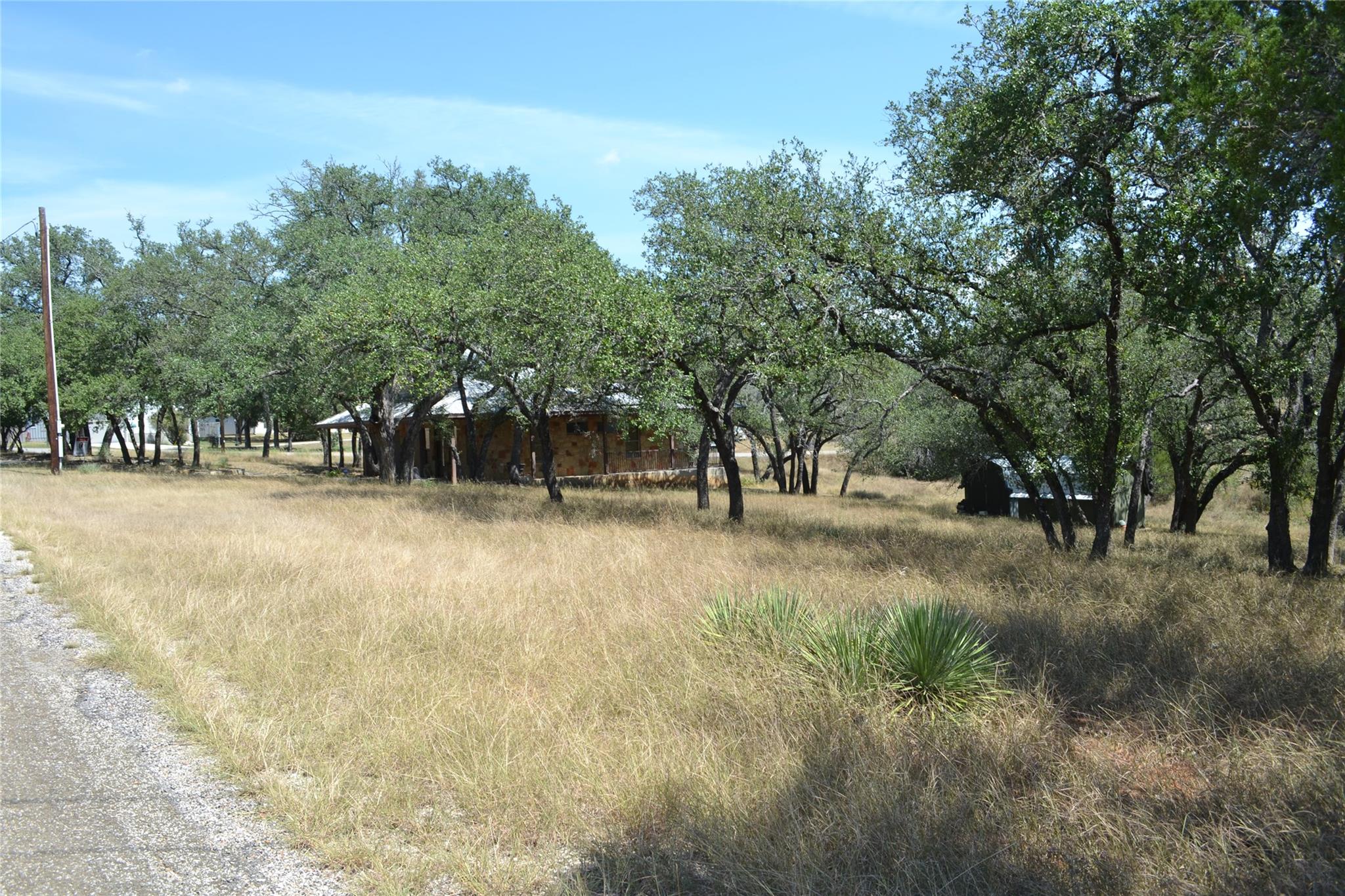 Mature trees and abundant natural grasses frame a