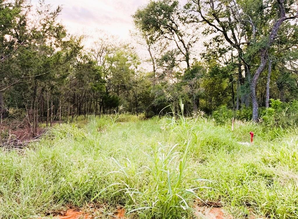 A spacious, verdant lot awaits your vision, borde