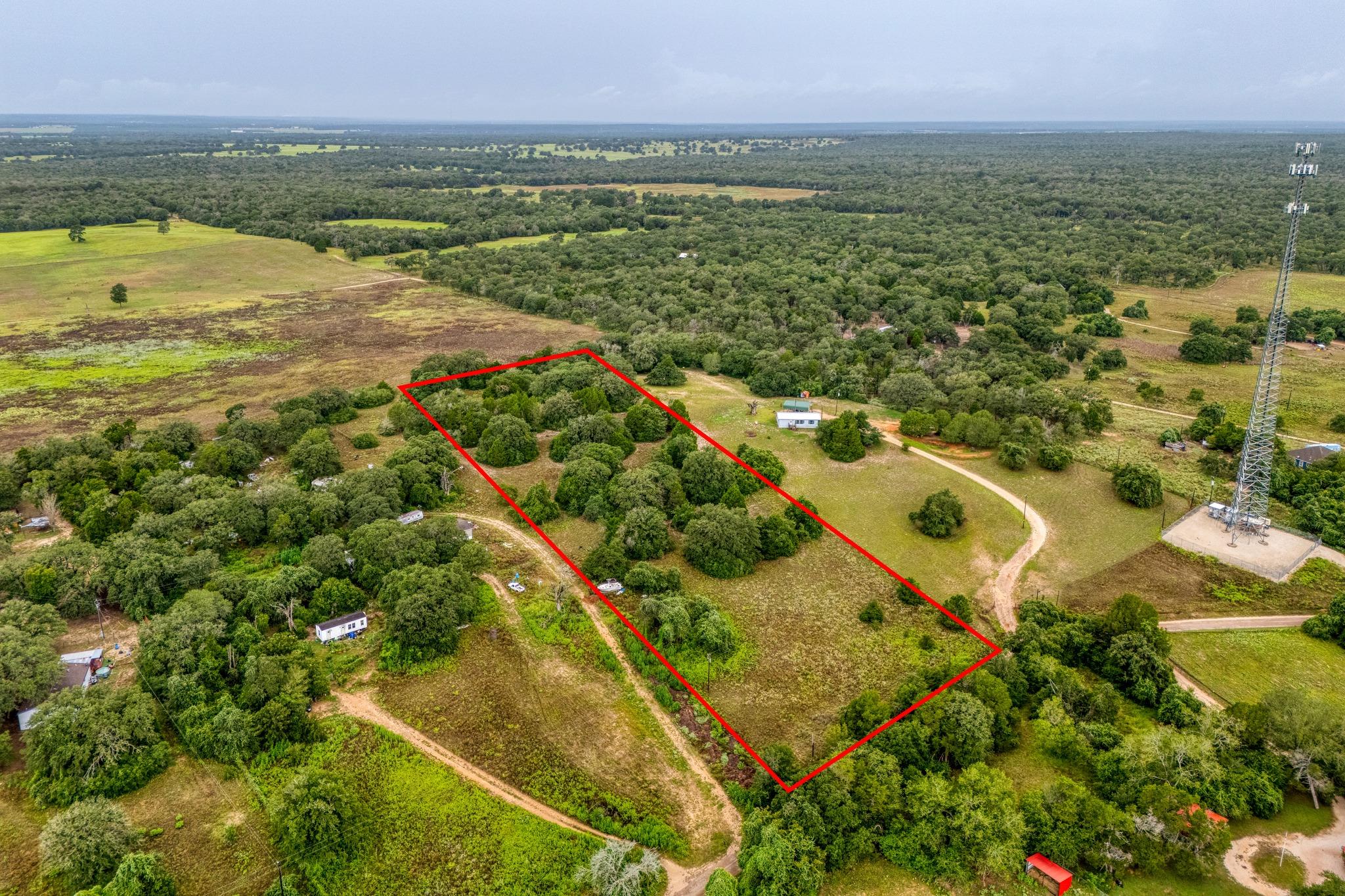 Vast acreage unfolds with abundant trees, offerin