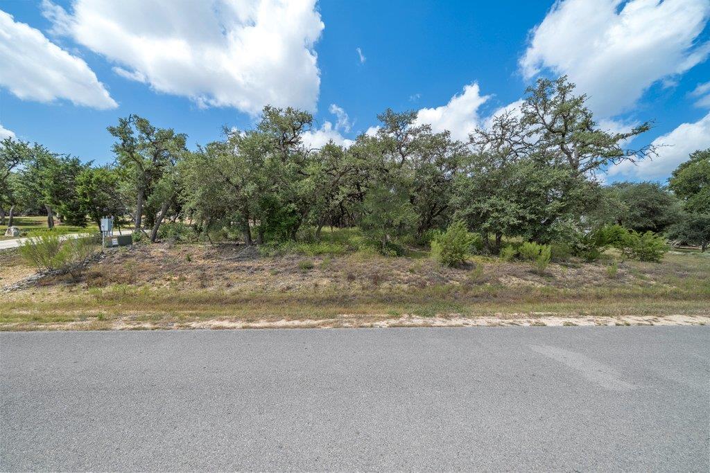 Mature trees frame this buildable lot, offering a