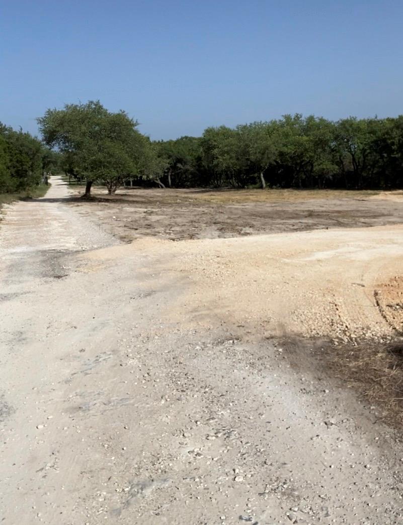 A promising vacant lot awaits transformation into