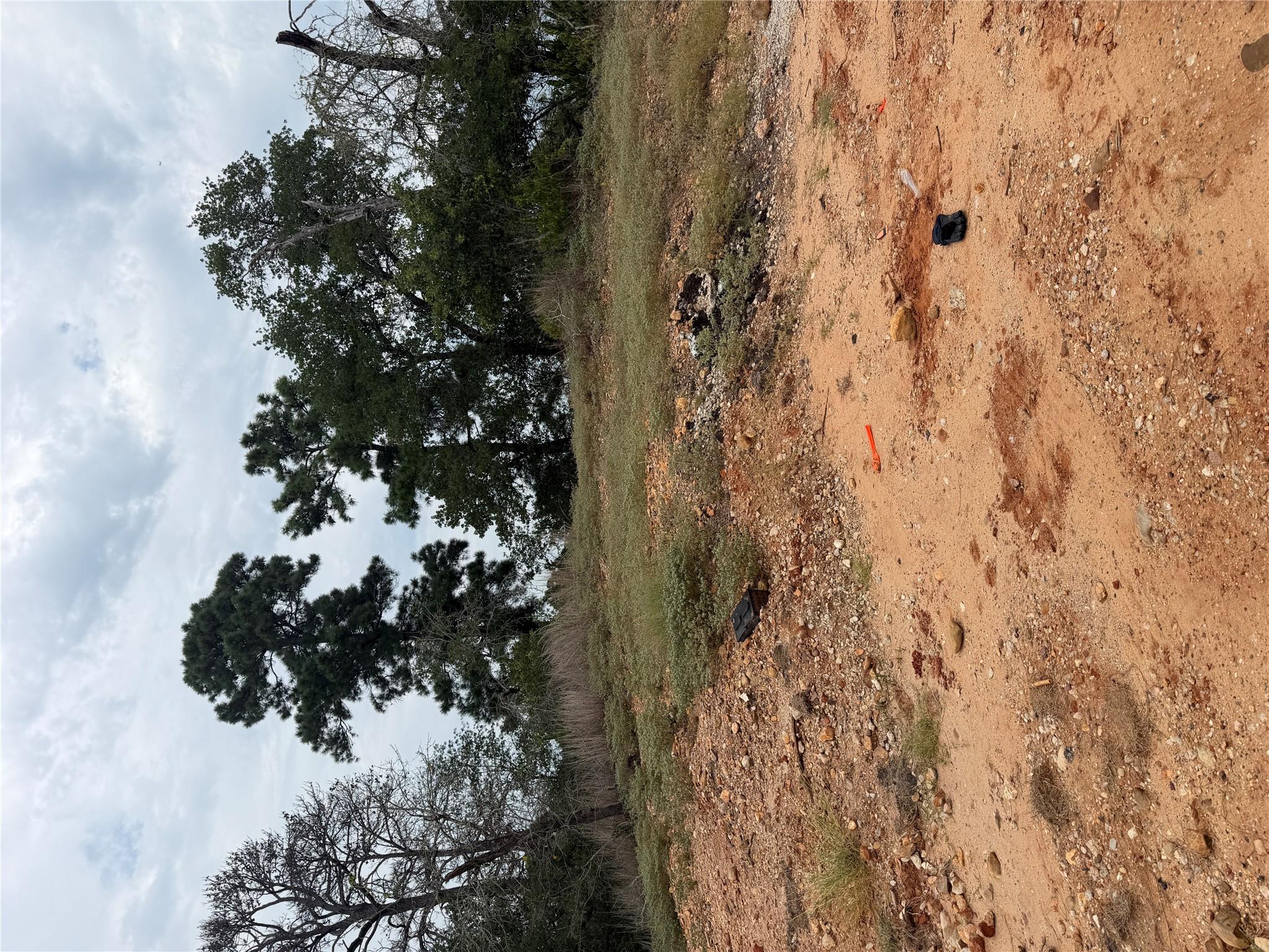 Mature trees and natural landscaping define this 