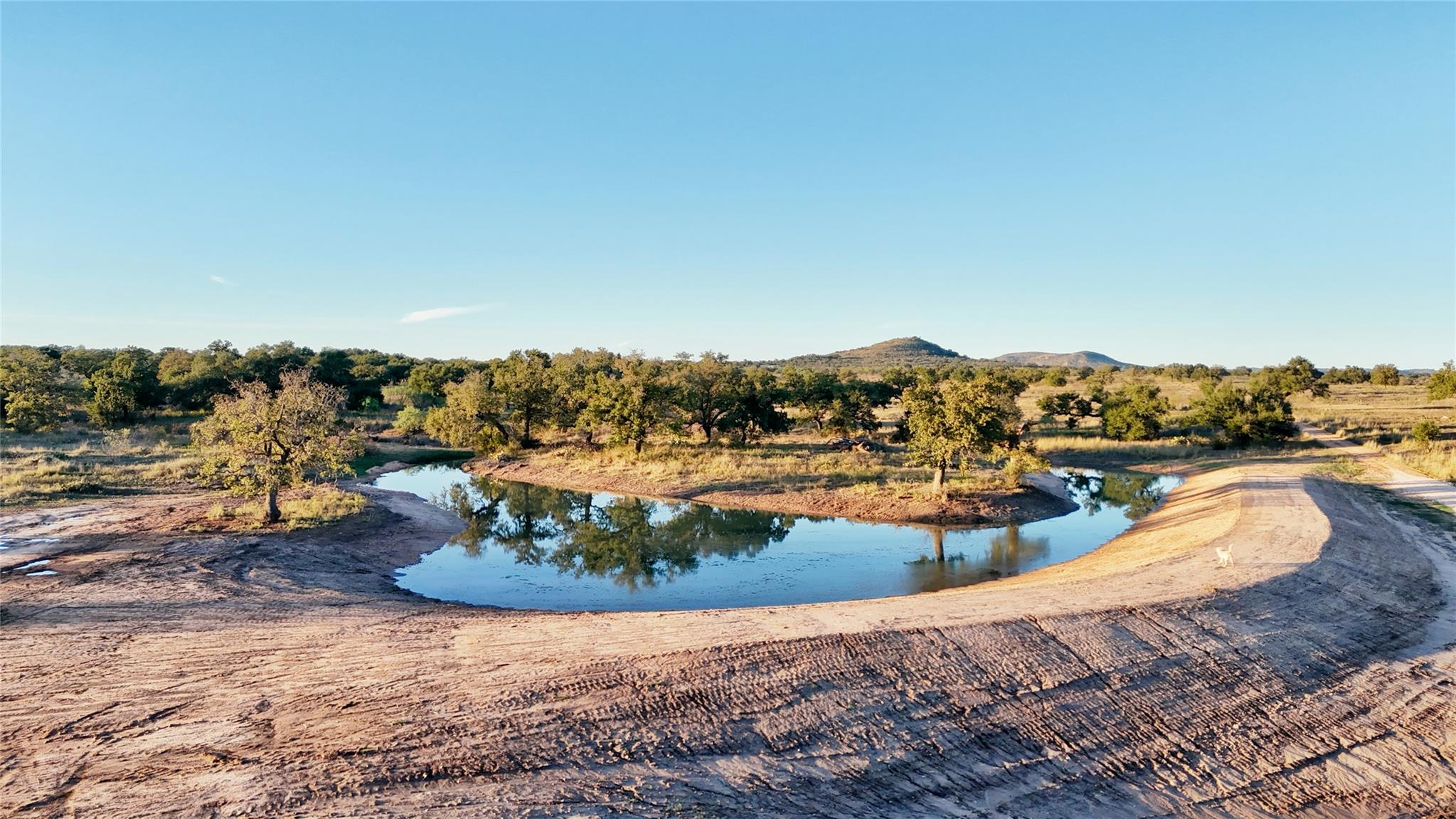 Mature trees frame a quiet, reflective pond under