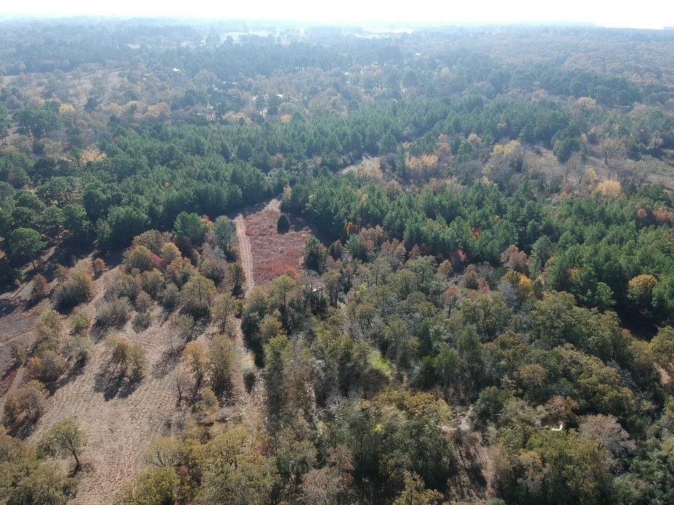 Mature woodlands and open clearings define this e