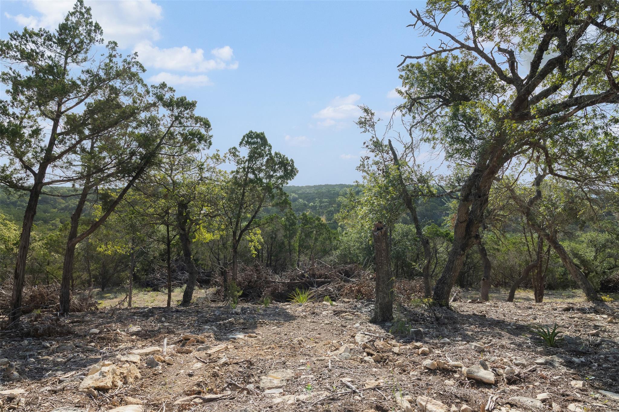 A sprawling, wooded lot offers an ideal setting f
