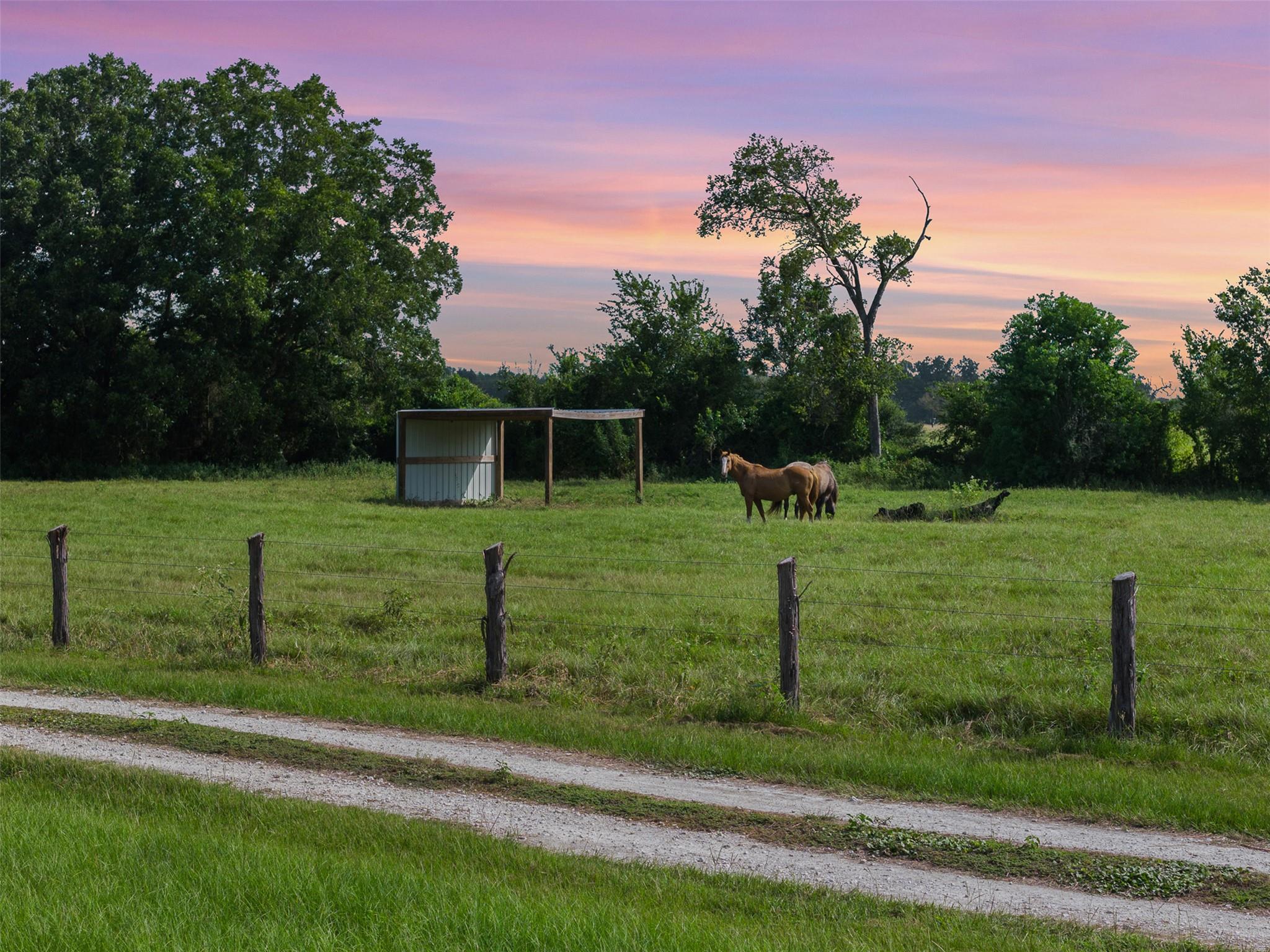 Listing photo 1 of 11043  County Road 336 None