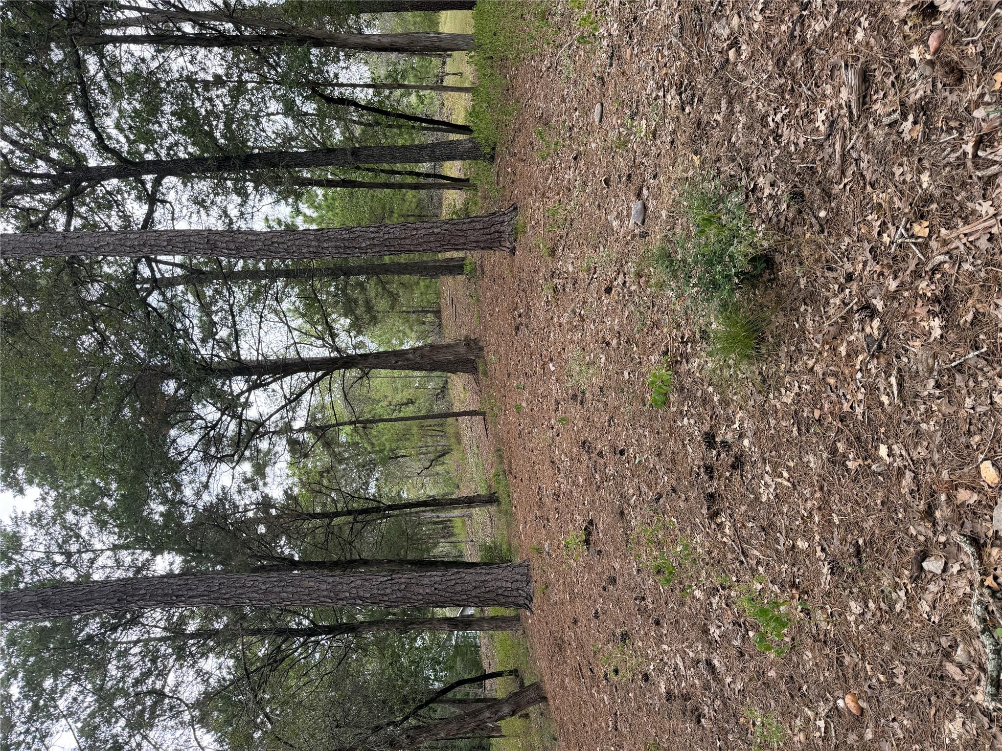 Mature trees and natural ground cover offer a pri