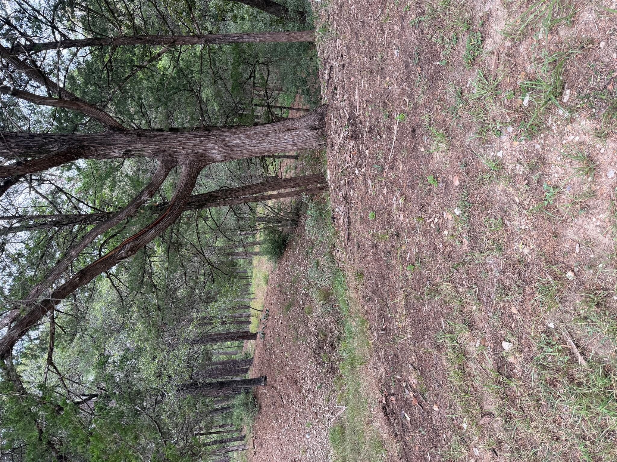 Mature trees grace this gently sloped lot, offeri