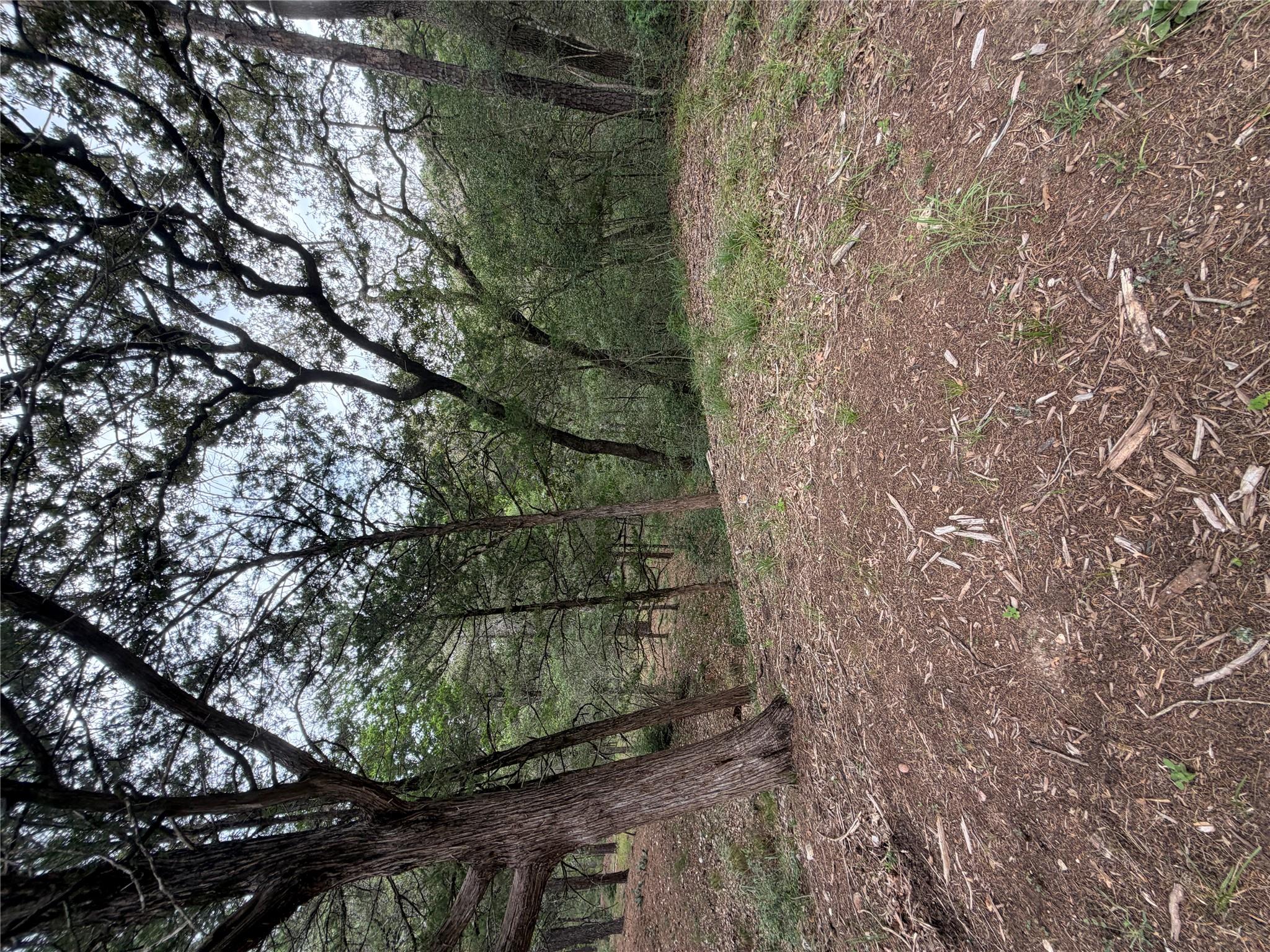 A tranquil wooded lot awaits, offering a secluded