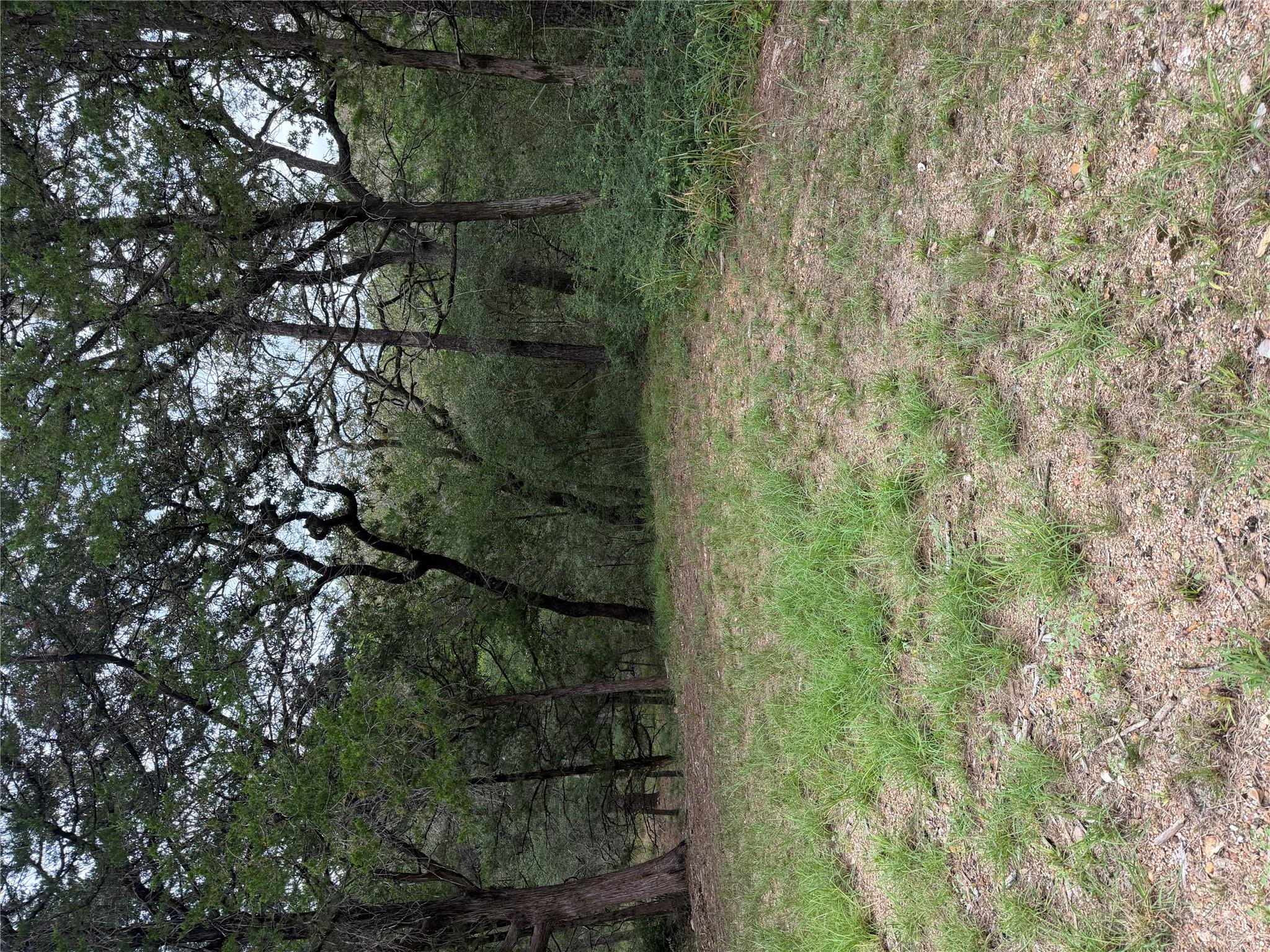 Natural, wooded setting provides a private, seclu