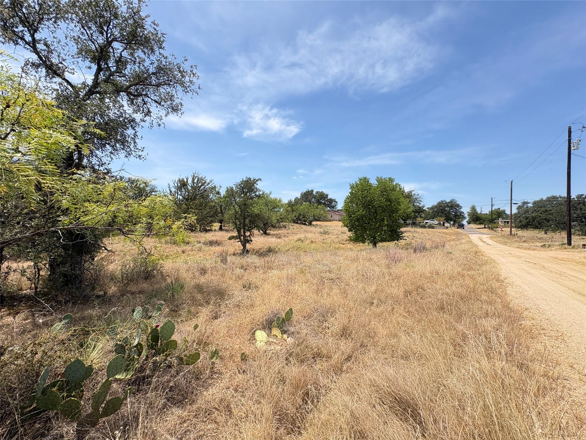 Scattered trees and native cacti dot this sprawli