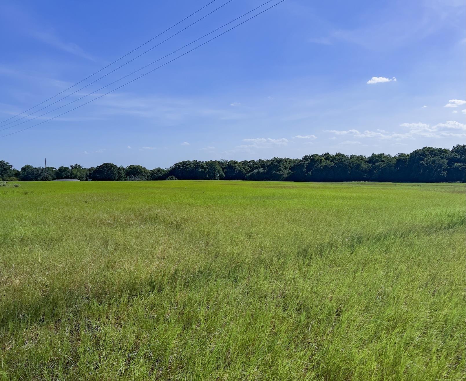 Mature trees frame the expansive green pasture un