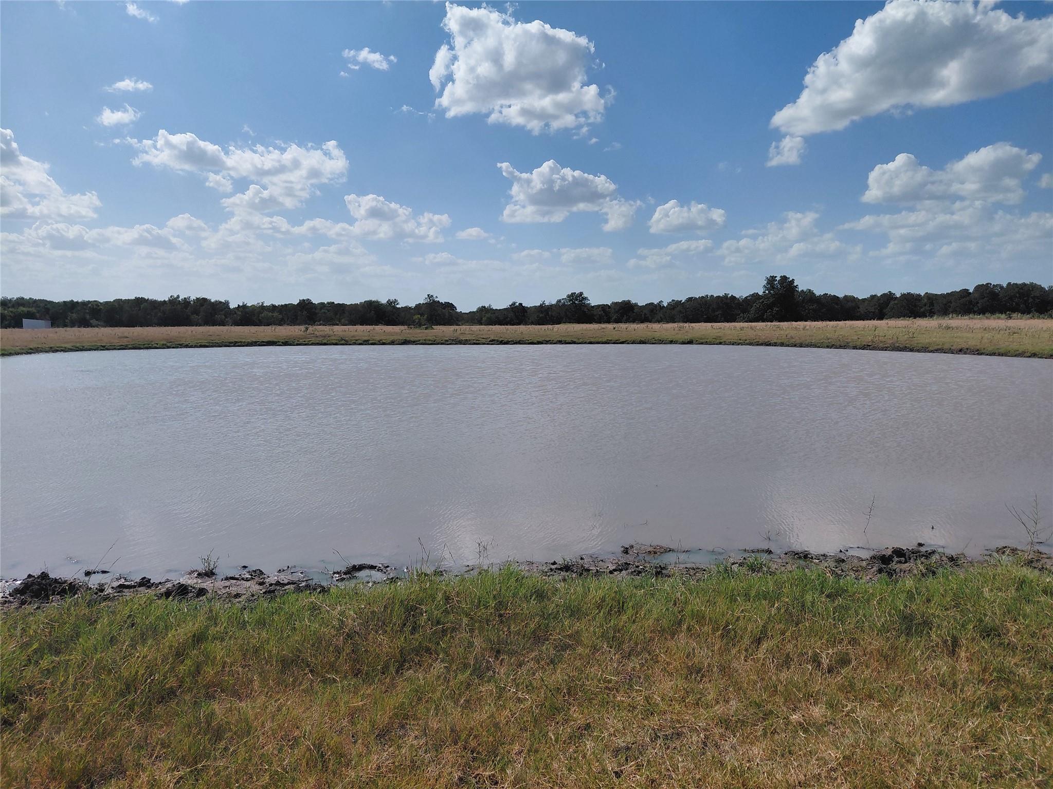 A tranquil pond glistens under a wide-open sky, o