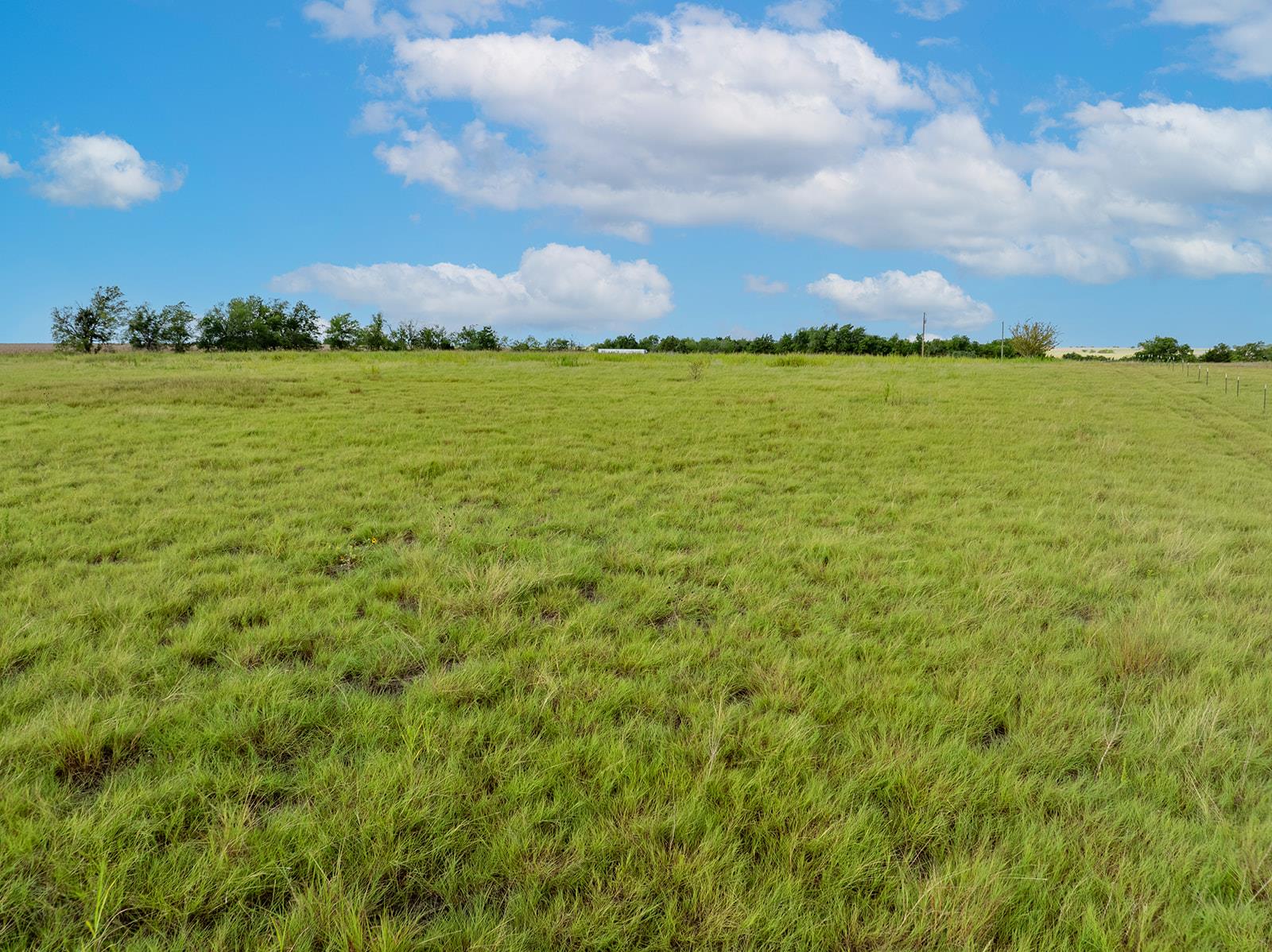 Rolling green pastures stretch under an open sky 