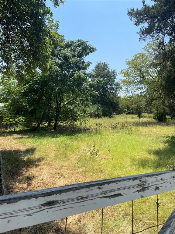 Mature trees frame a grassy open pasture under cl