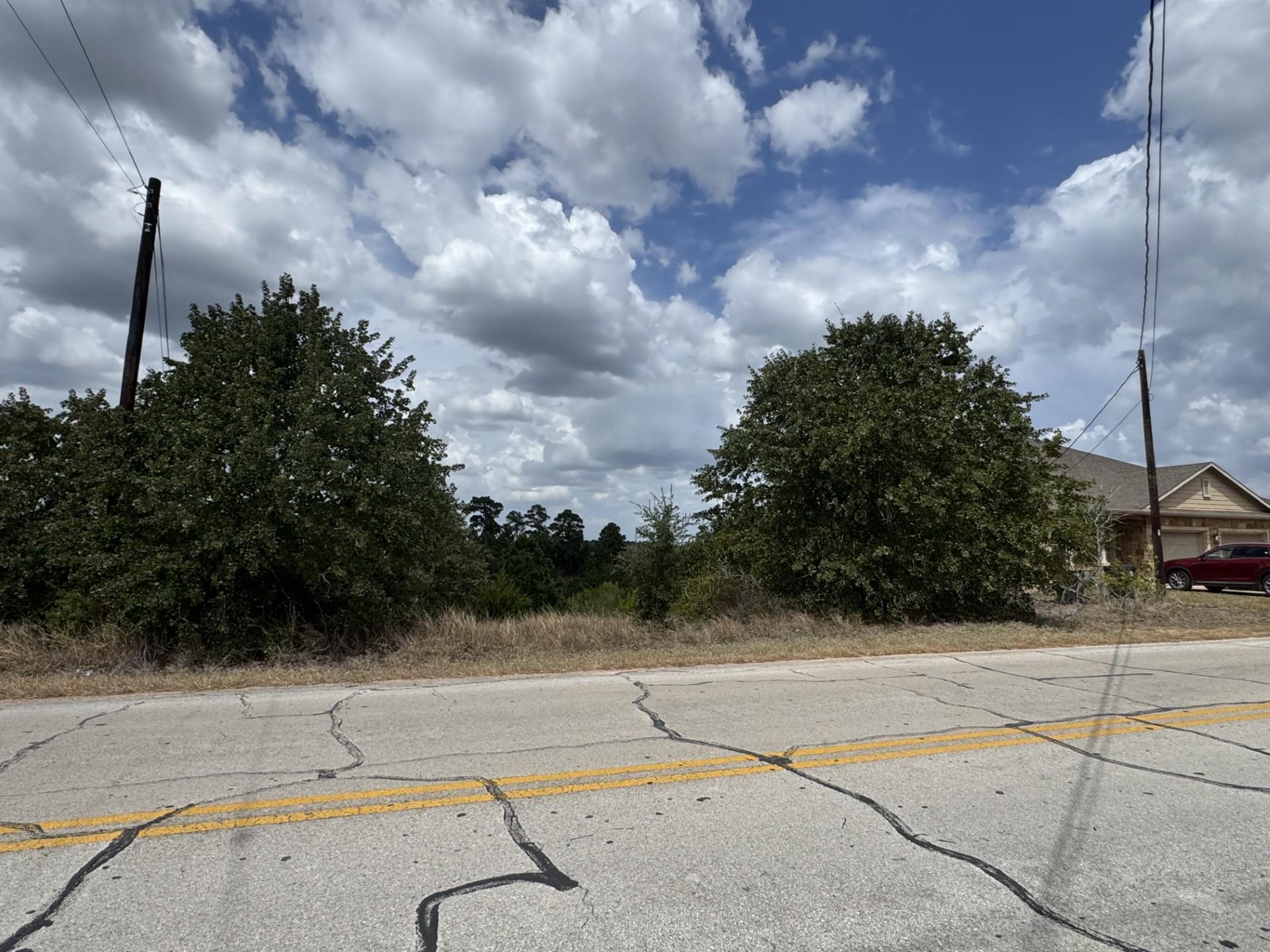 Mature trees frame the property line along a quie