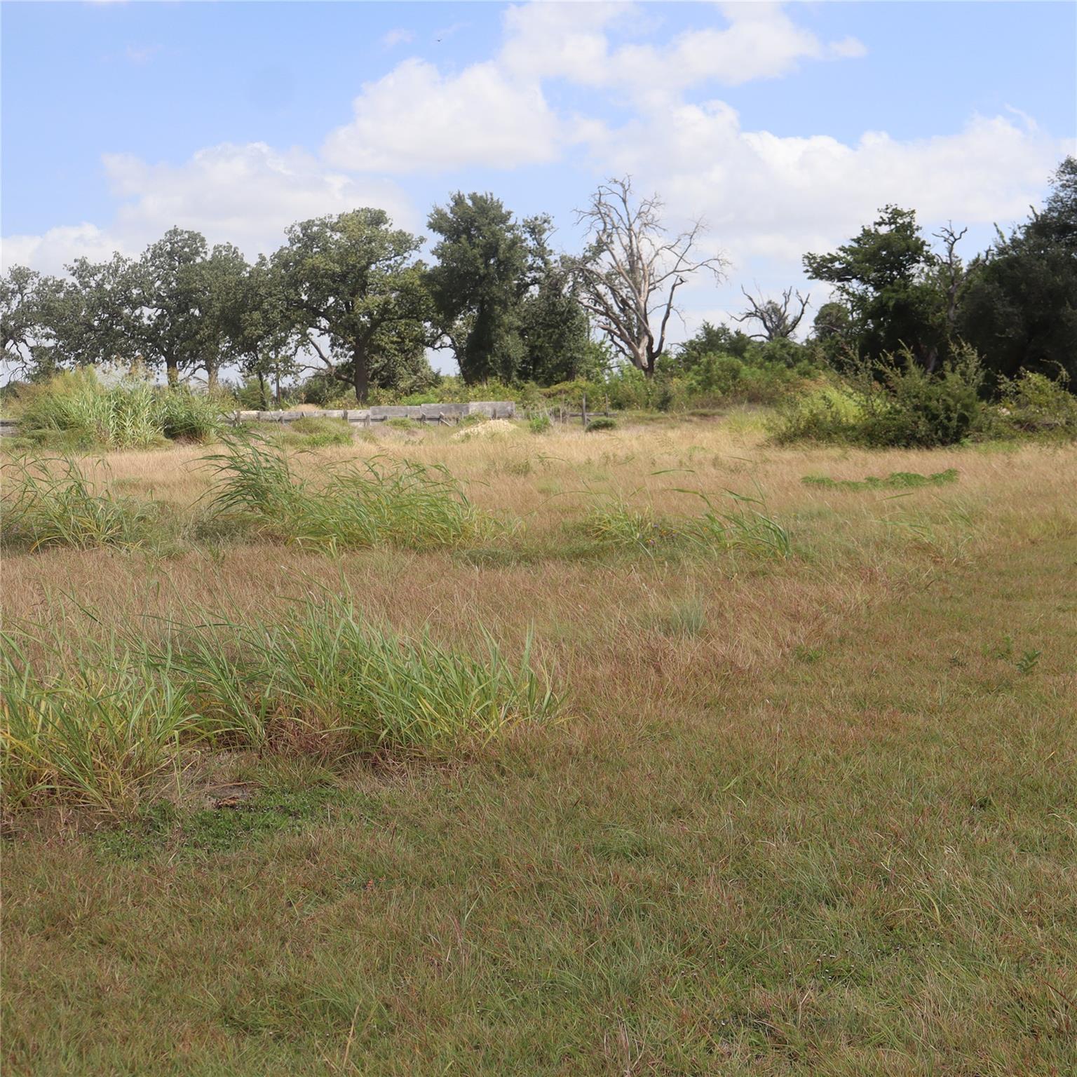 A wide clearing bordered by mature trees sits und