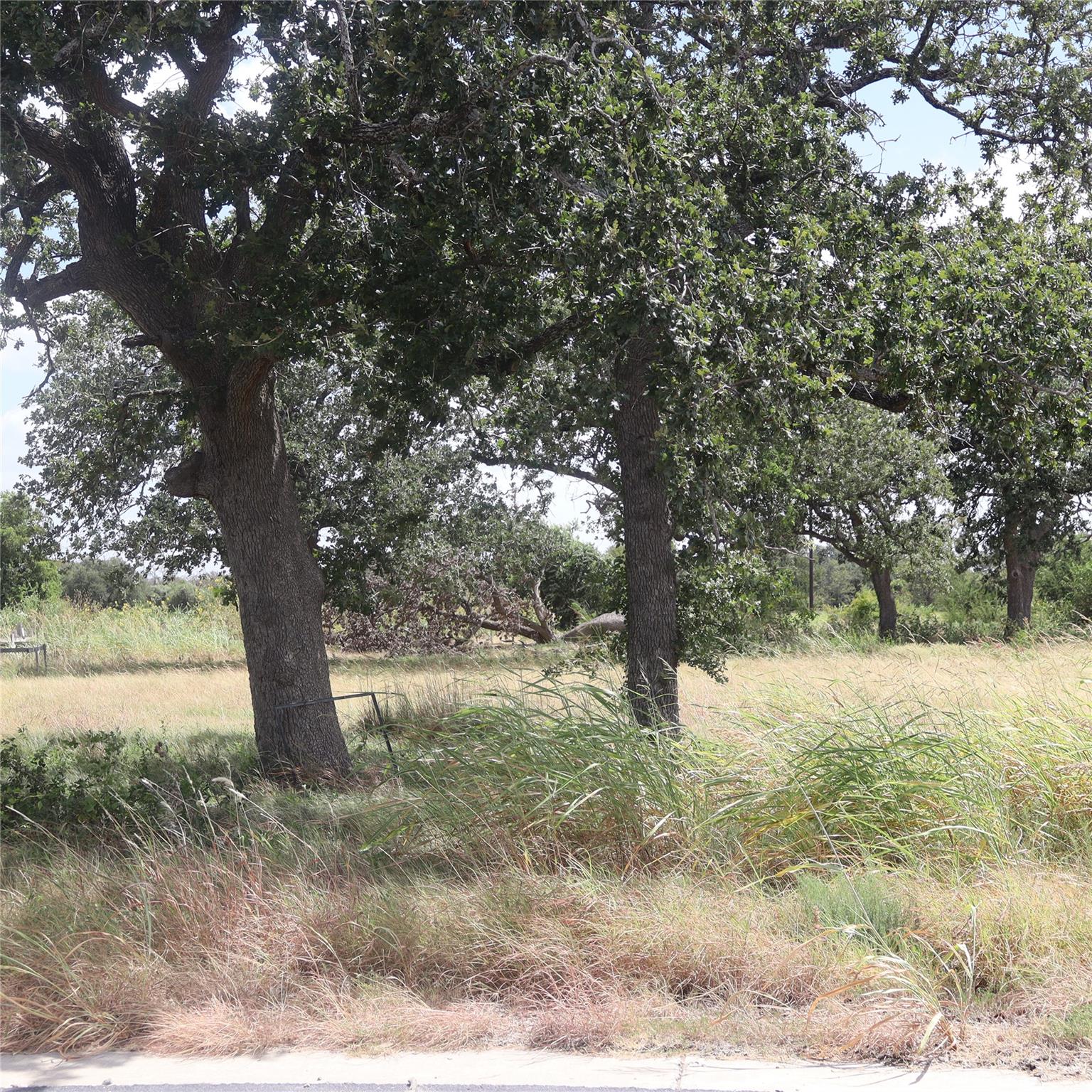 Mature oak trees shade the level grassy acreage o