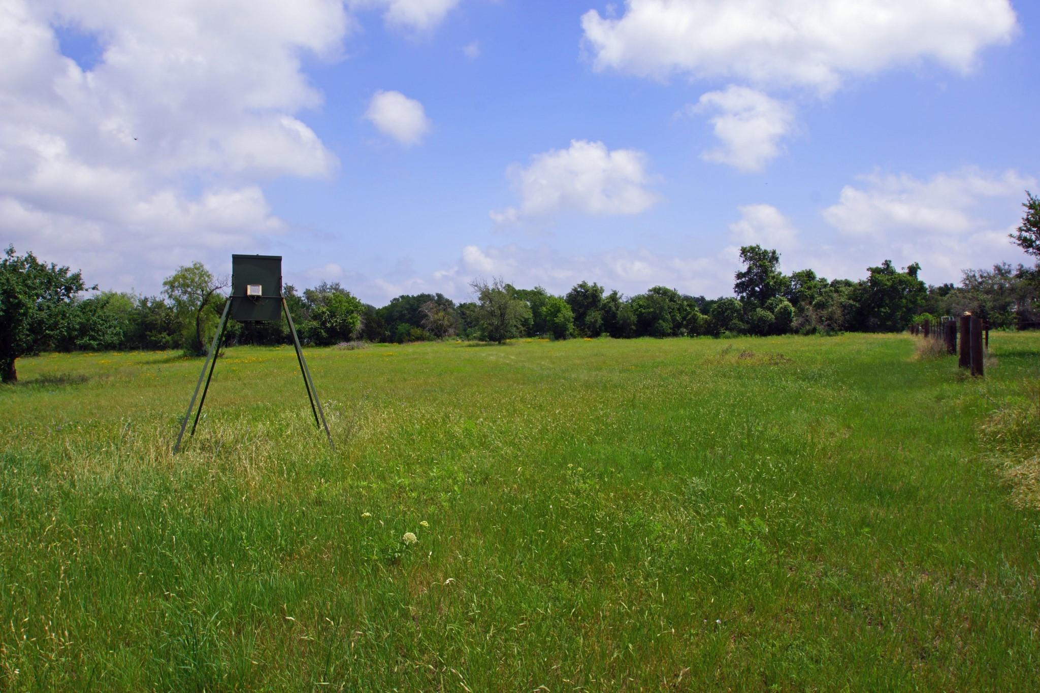 Listing photo 1 of 350  Apache Springs Rd