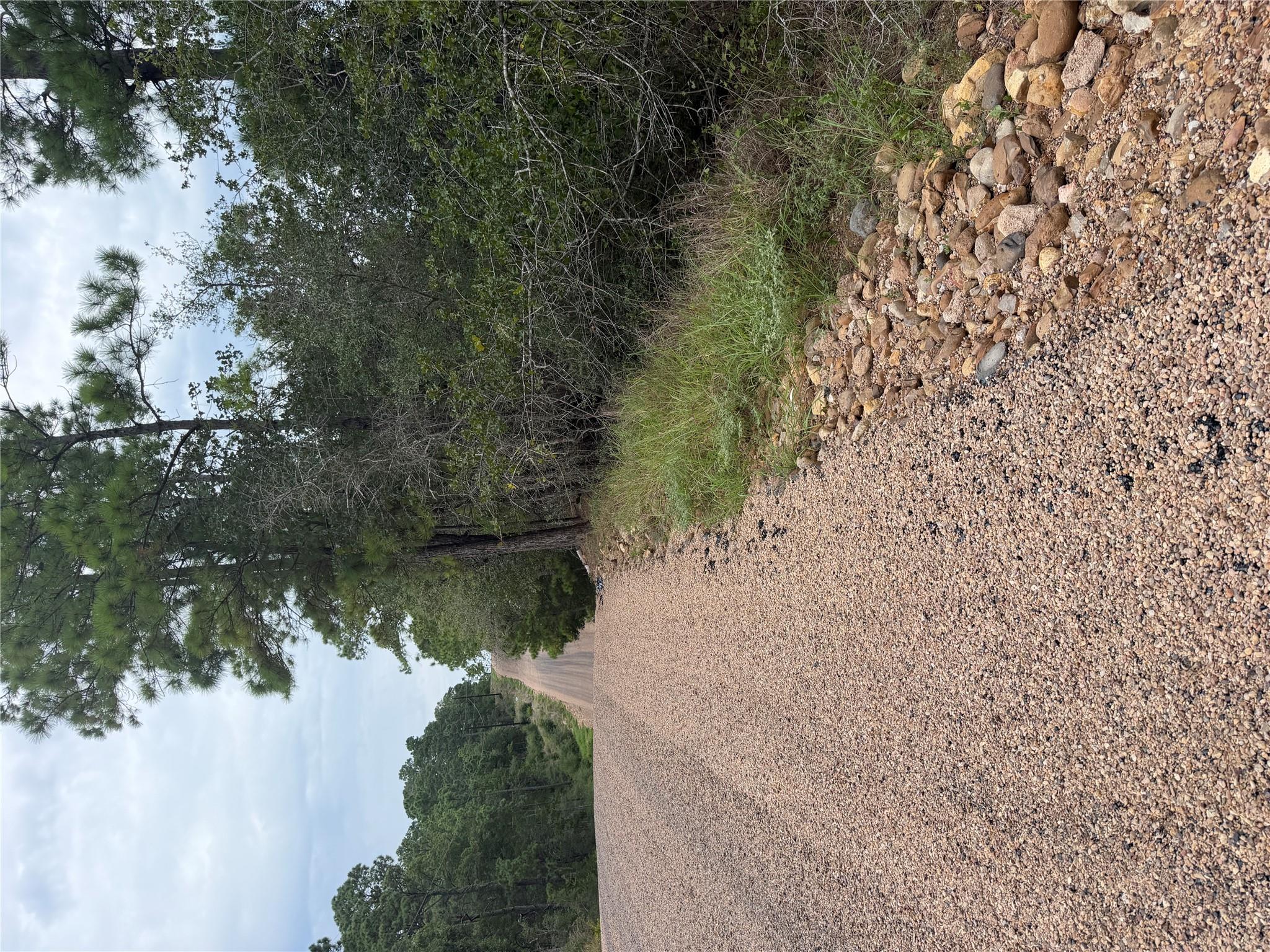 Mature trees line the gravel road bordering this 