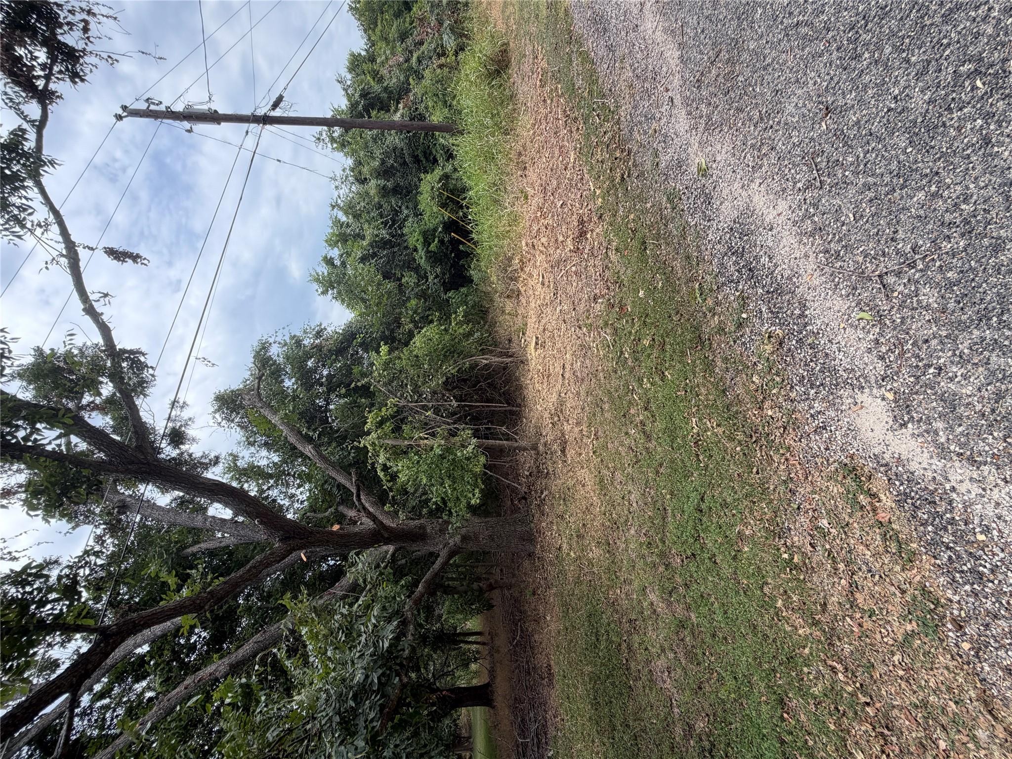 Mature trees frame a grassy lot offering natural 