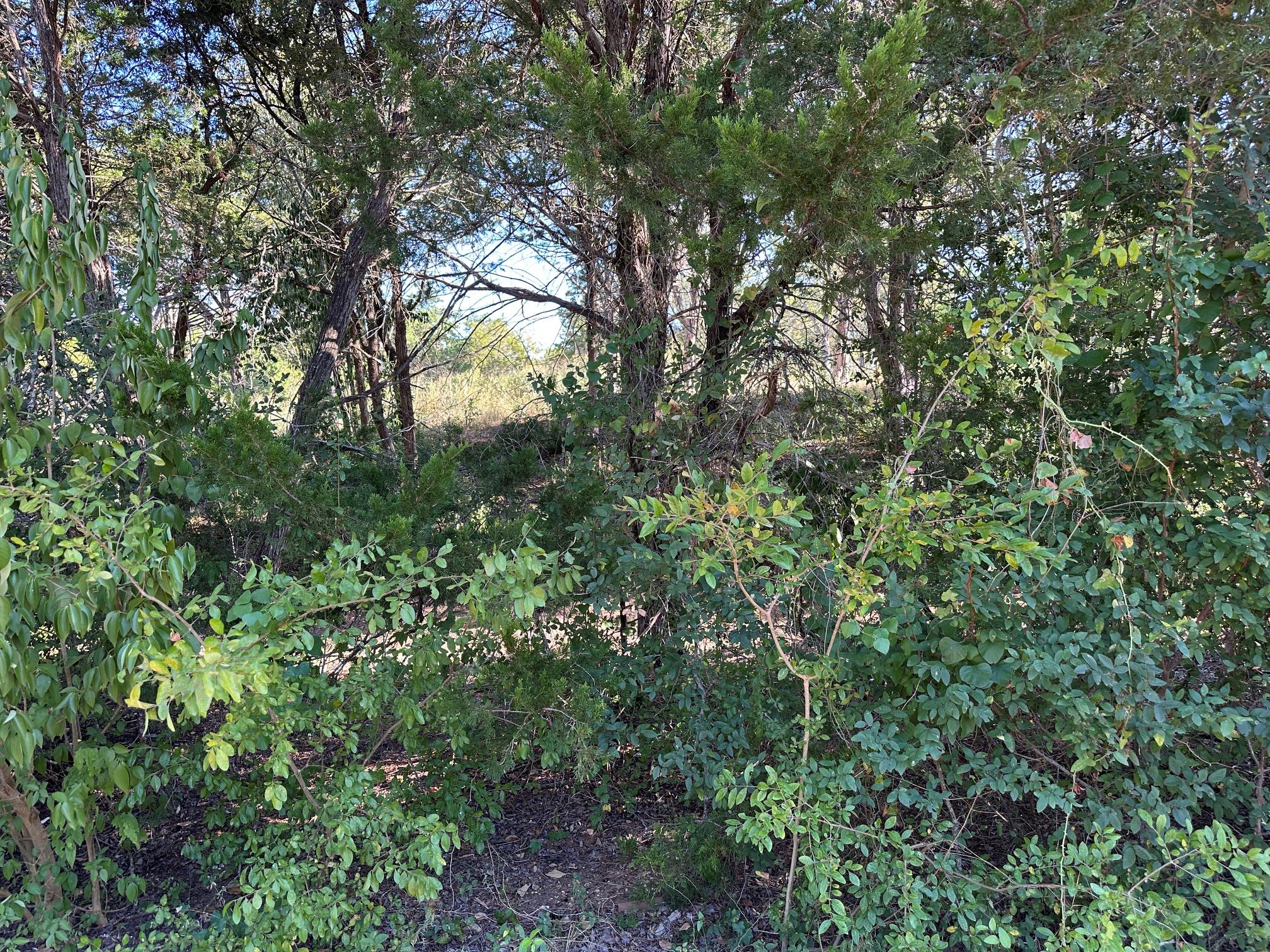 Listing photo 1 of LOT 9  Robin Run