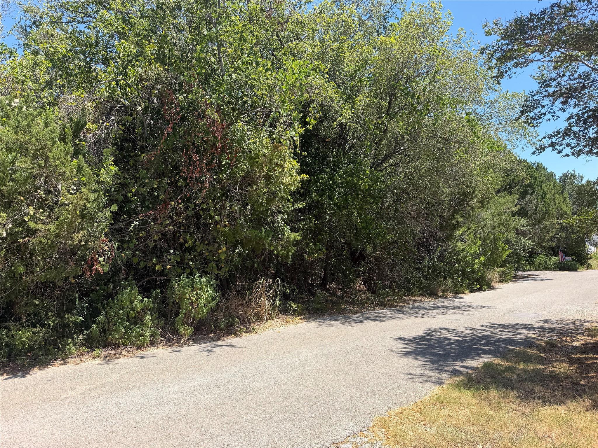 Mature trees border a paved roadway, highlighting