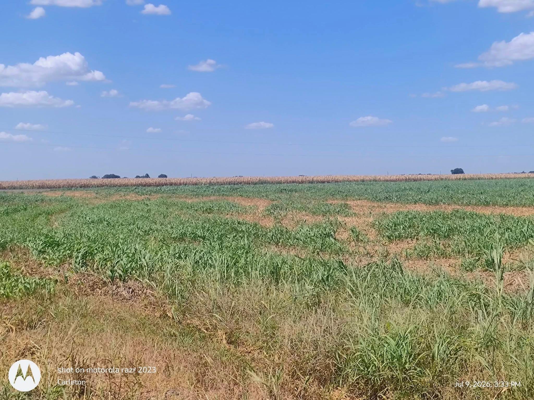 Level pasture land stretches toward the horizon u