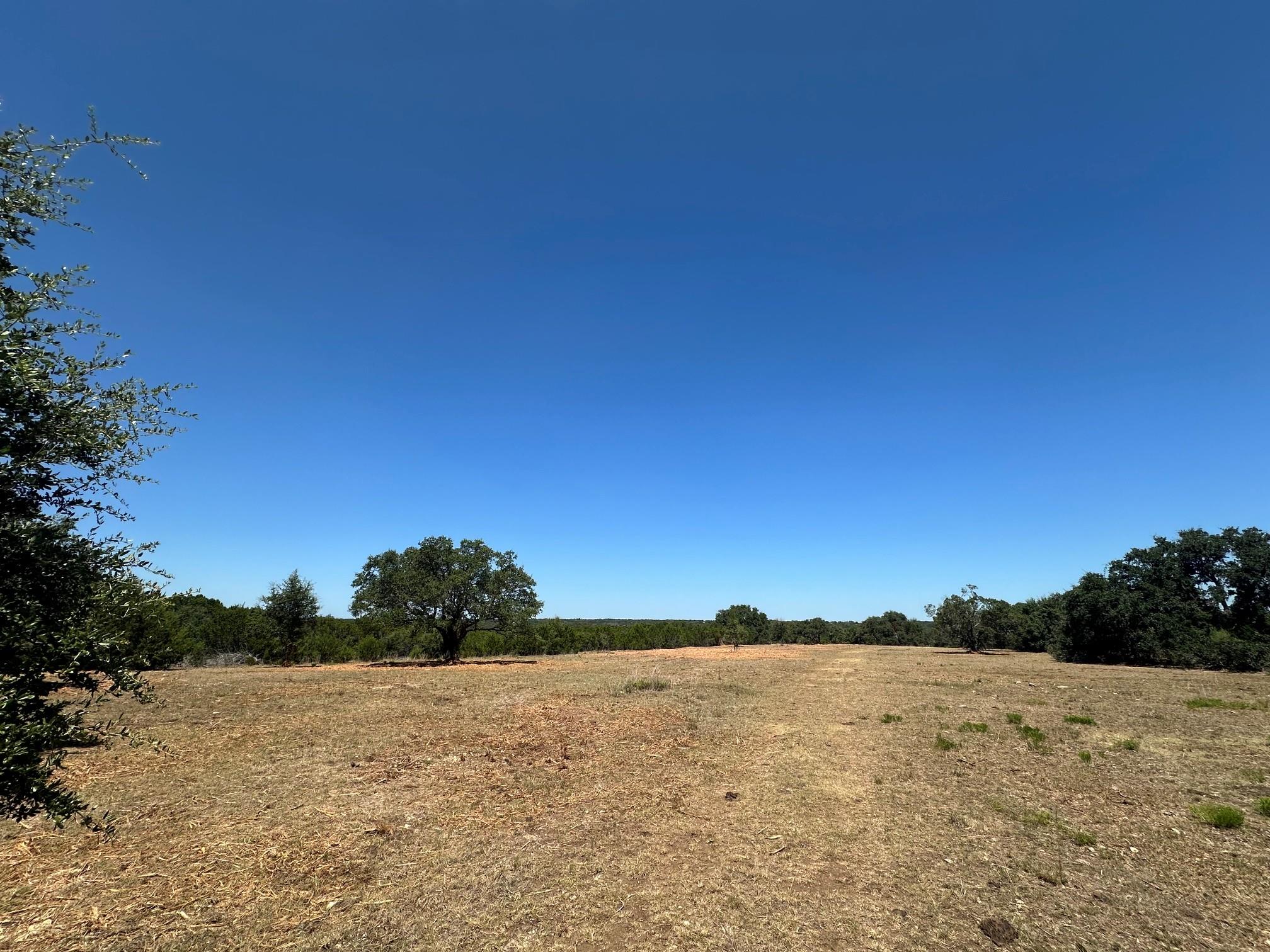 Mature trees dot this sprawling acreage under a v
