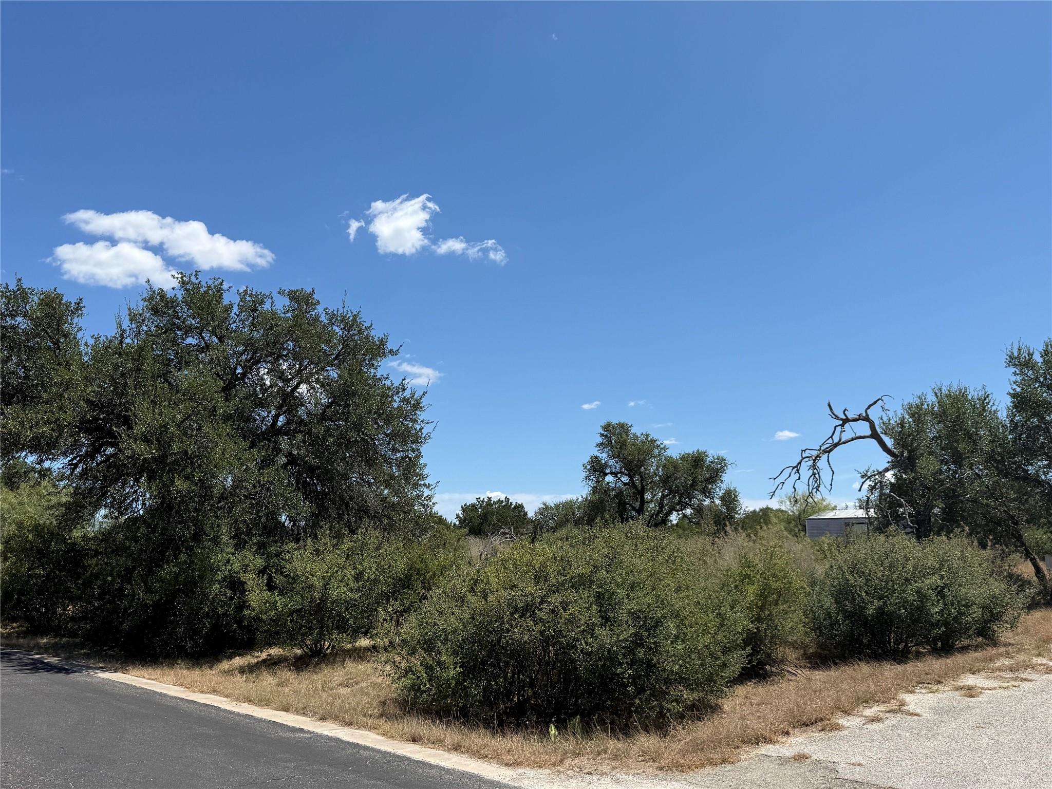 Mature trees and native vegetation frame this ope