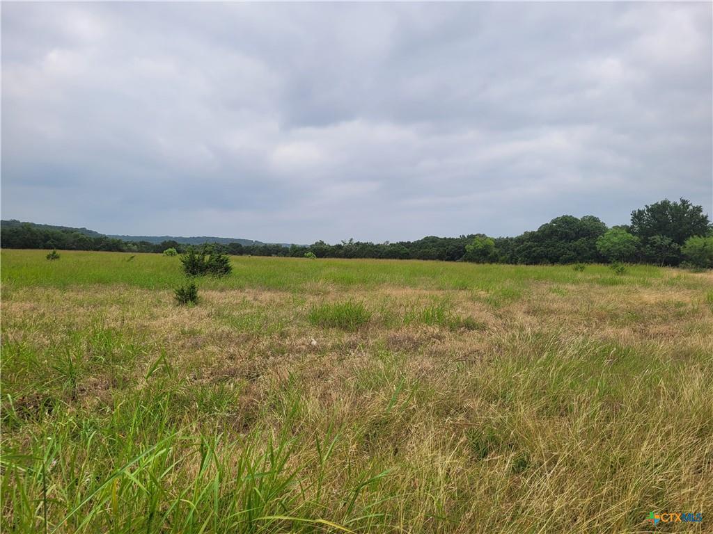 Mature trees frame a wide open meadow stretching 