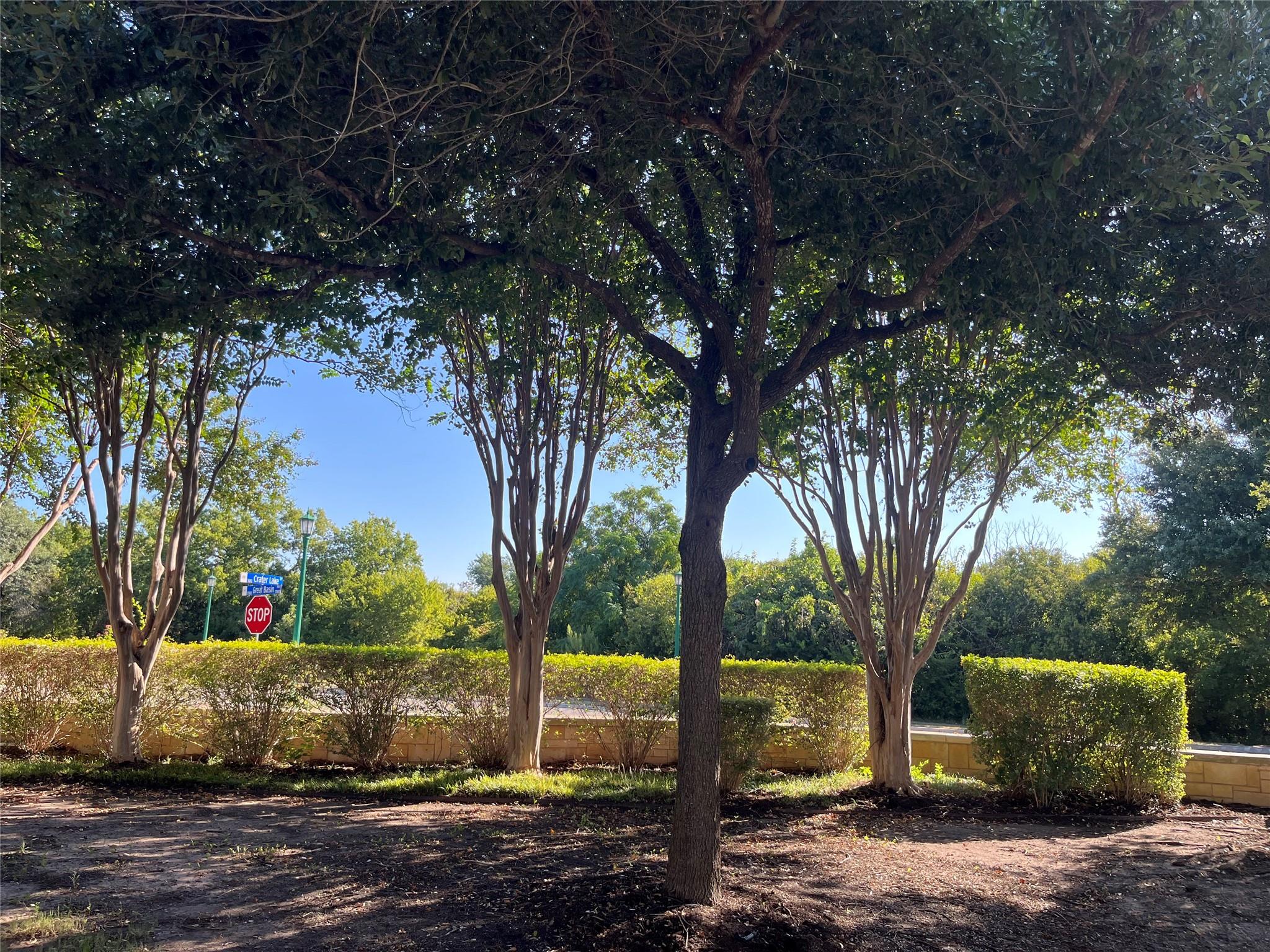 Listing photo 1 of 513  Crater Lake Dr