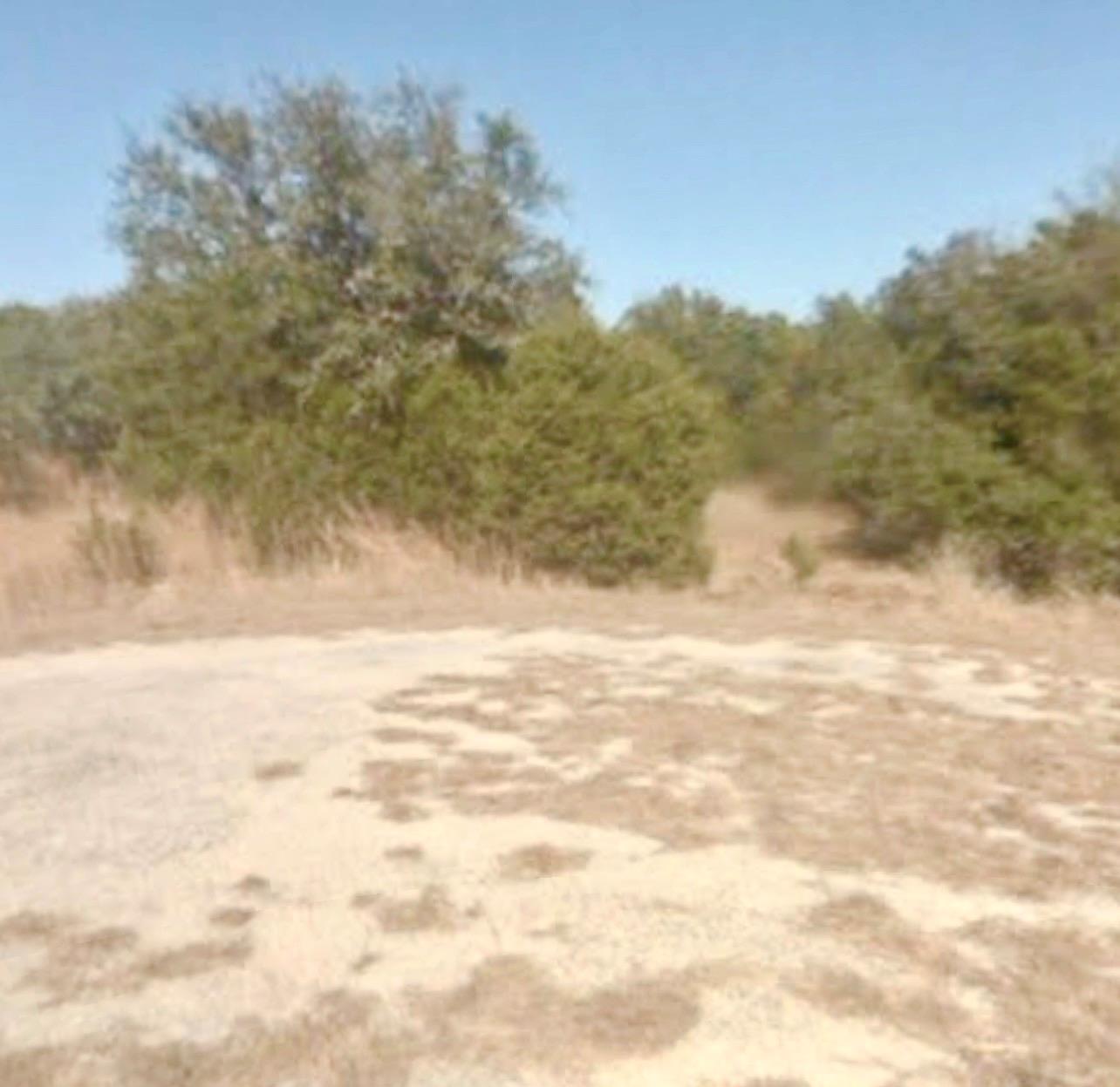 Mature trees frame a quiet clearing on this undev
