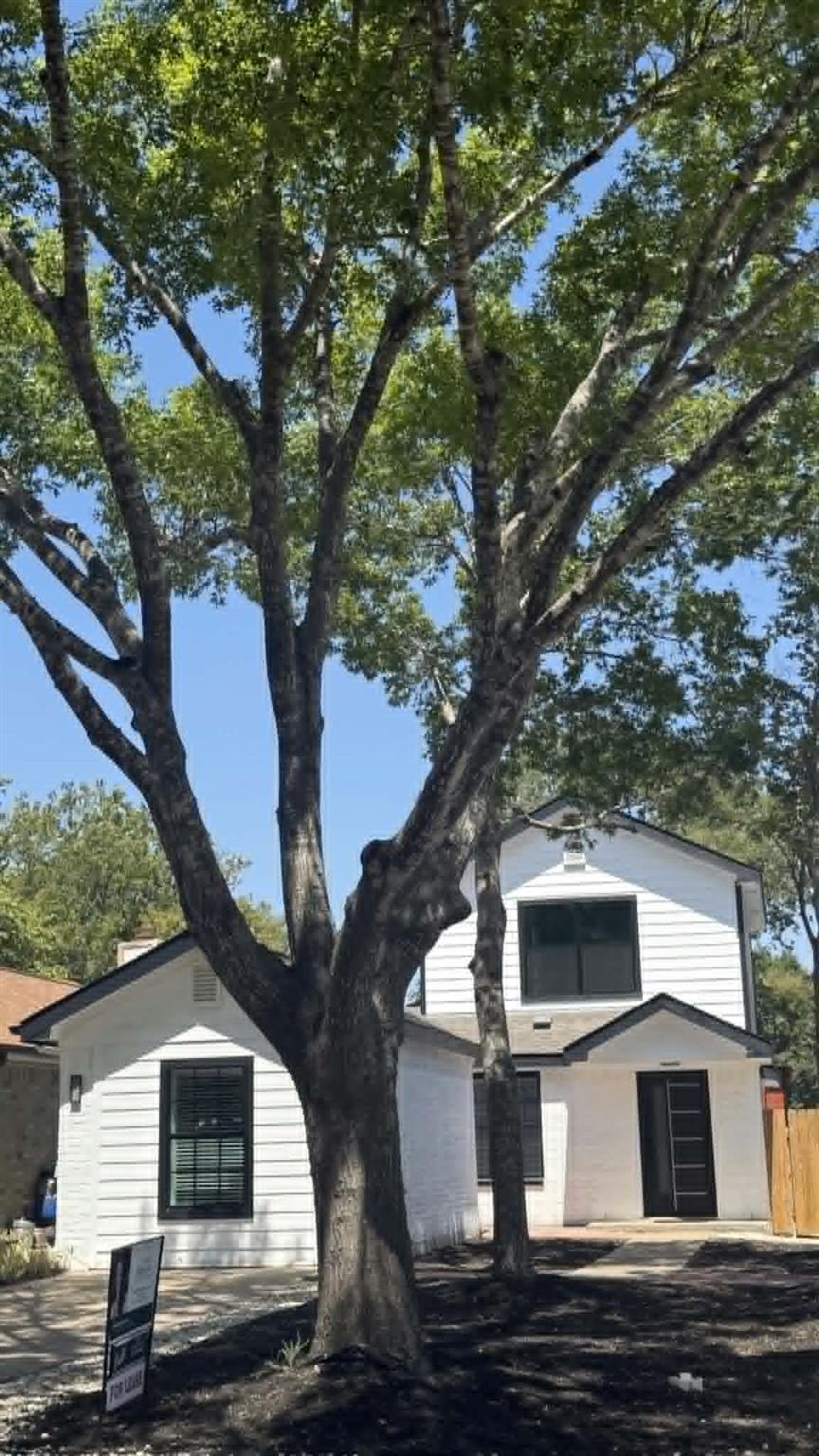 Mature shade trees frame a contemporary exterior 